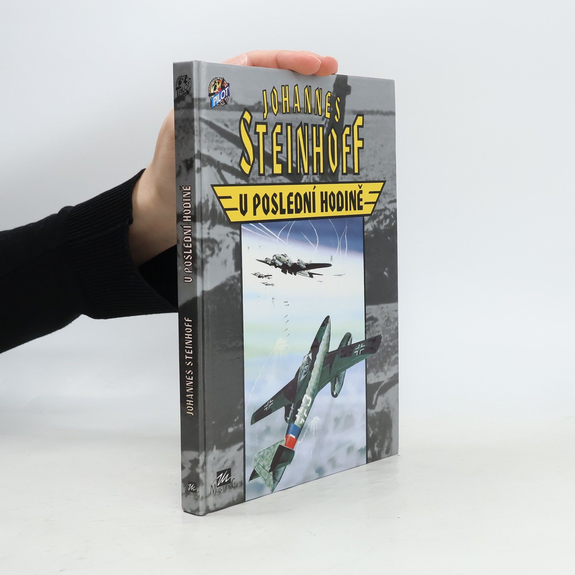 Johannes Steinhoff V poslední hodině