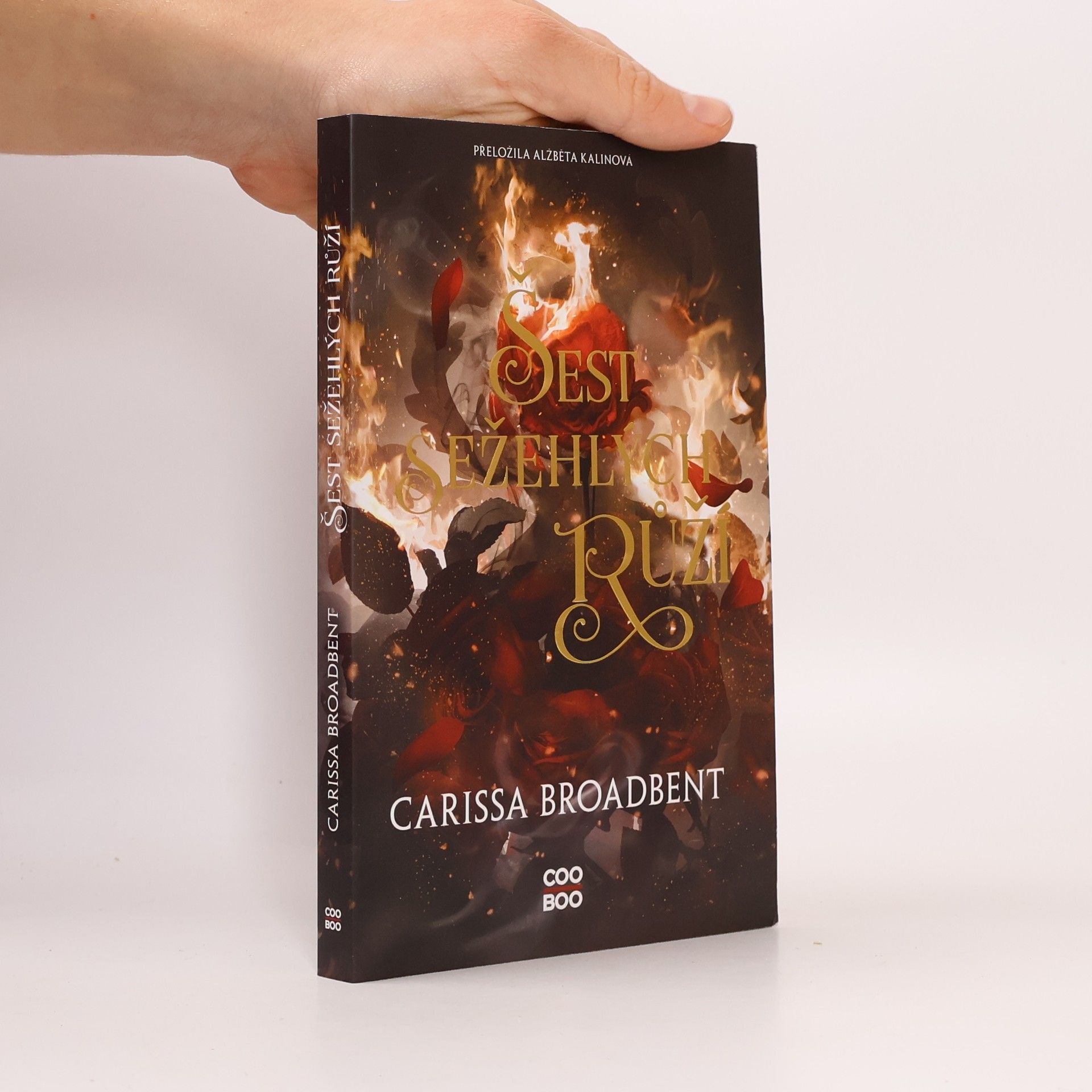 Šest sežehlých růží