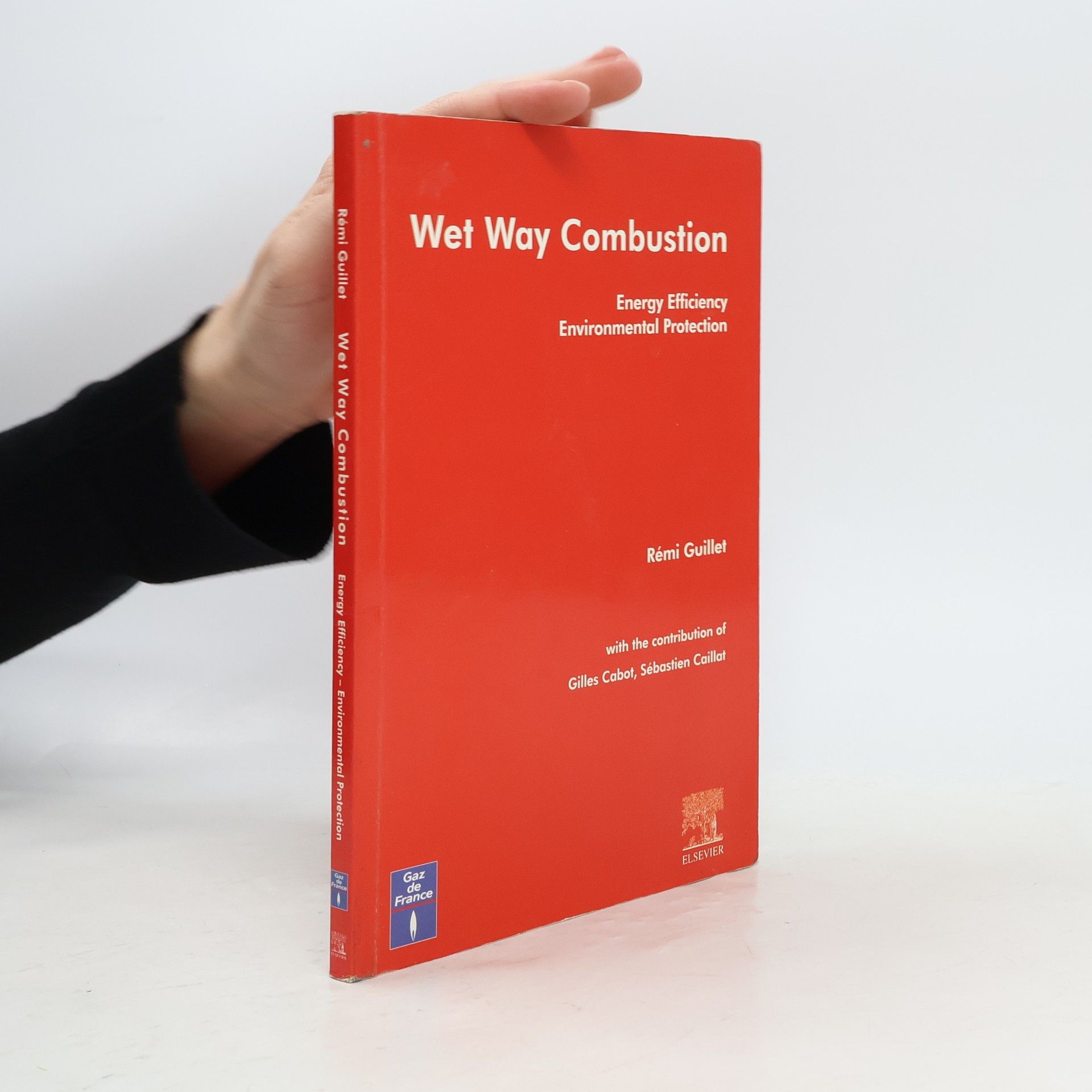 Rémi Guillet Wet Way Combustion