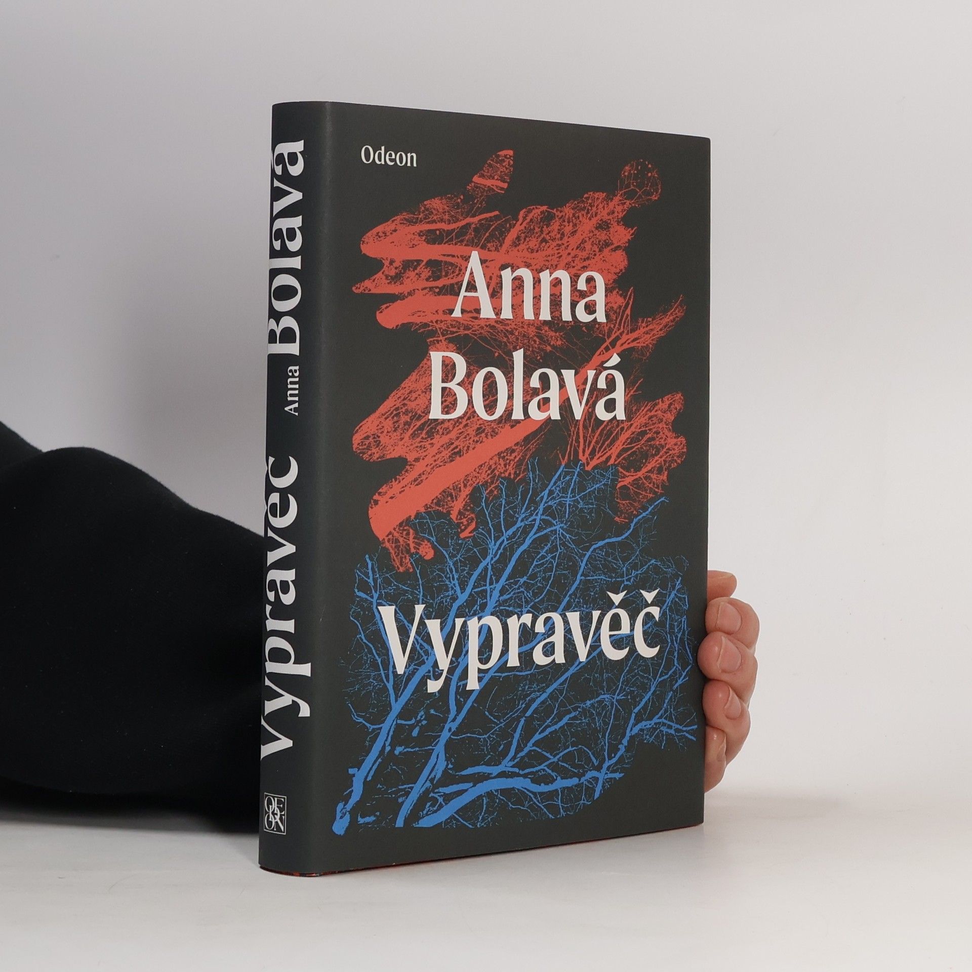 Anna Bolavá Vypravěč