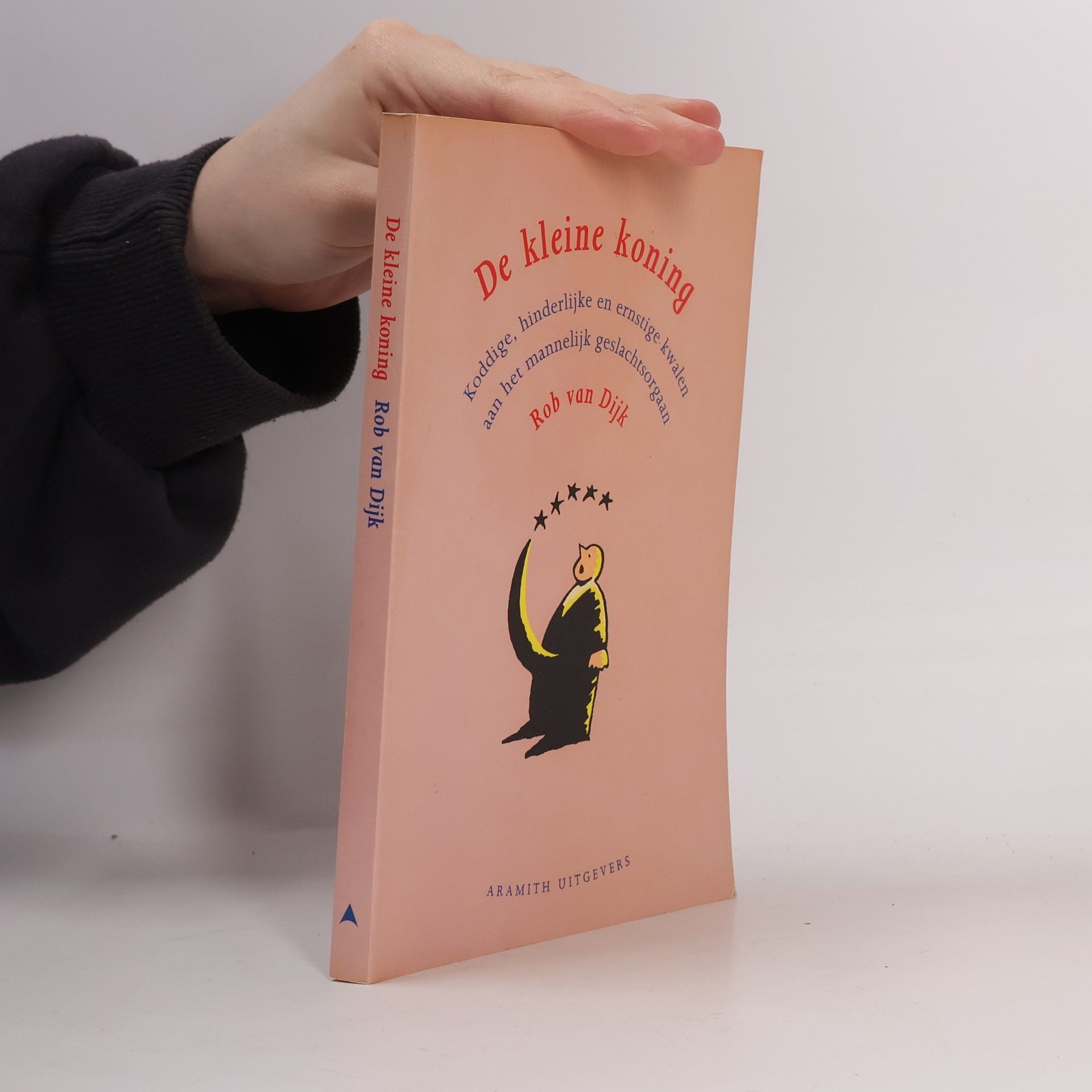 Rob van Dijk De kleine koning