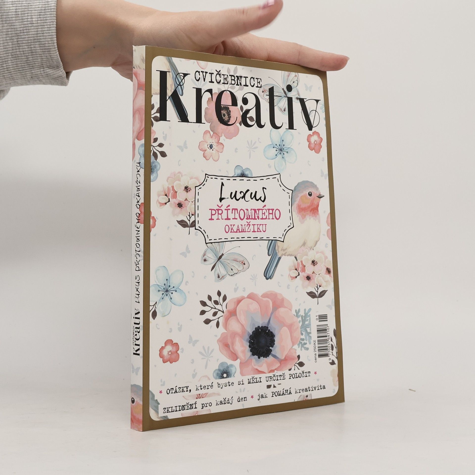 Zuzana Šikýřová Cvičebnice Kreativ: Luxus přítomného okamžiku