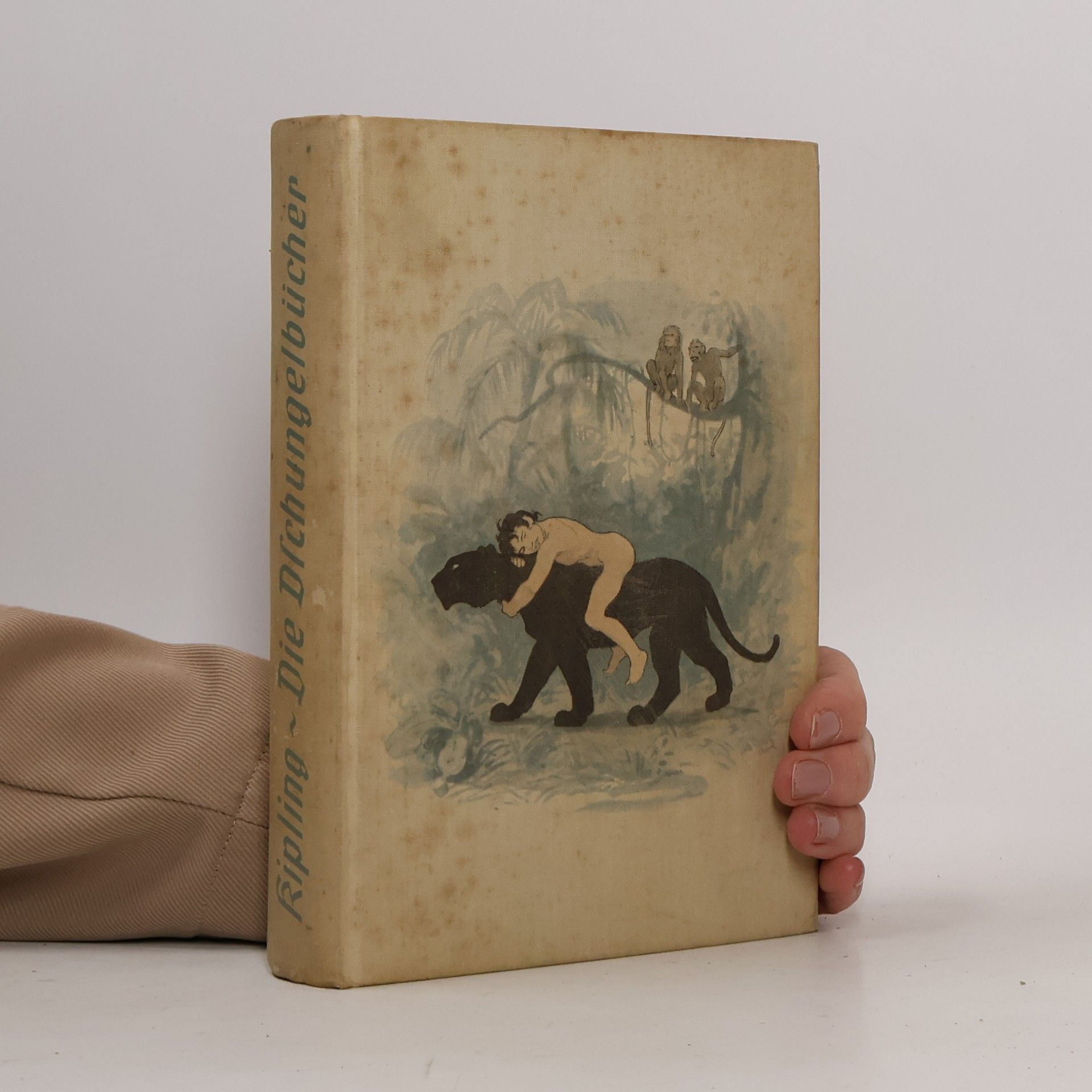 Rudyard Kipling Die Dschungelbücher