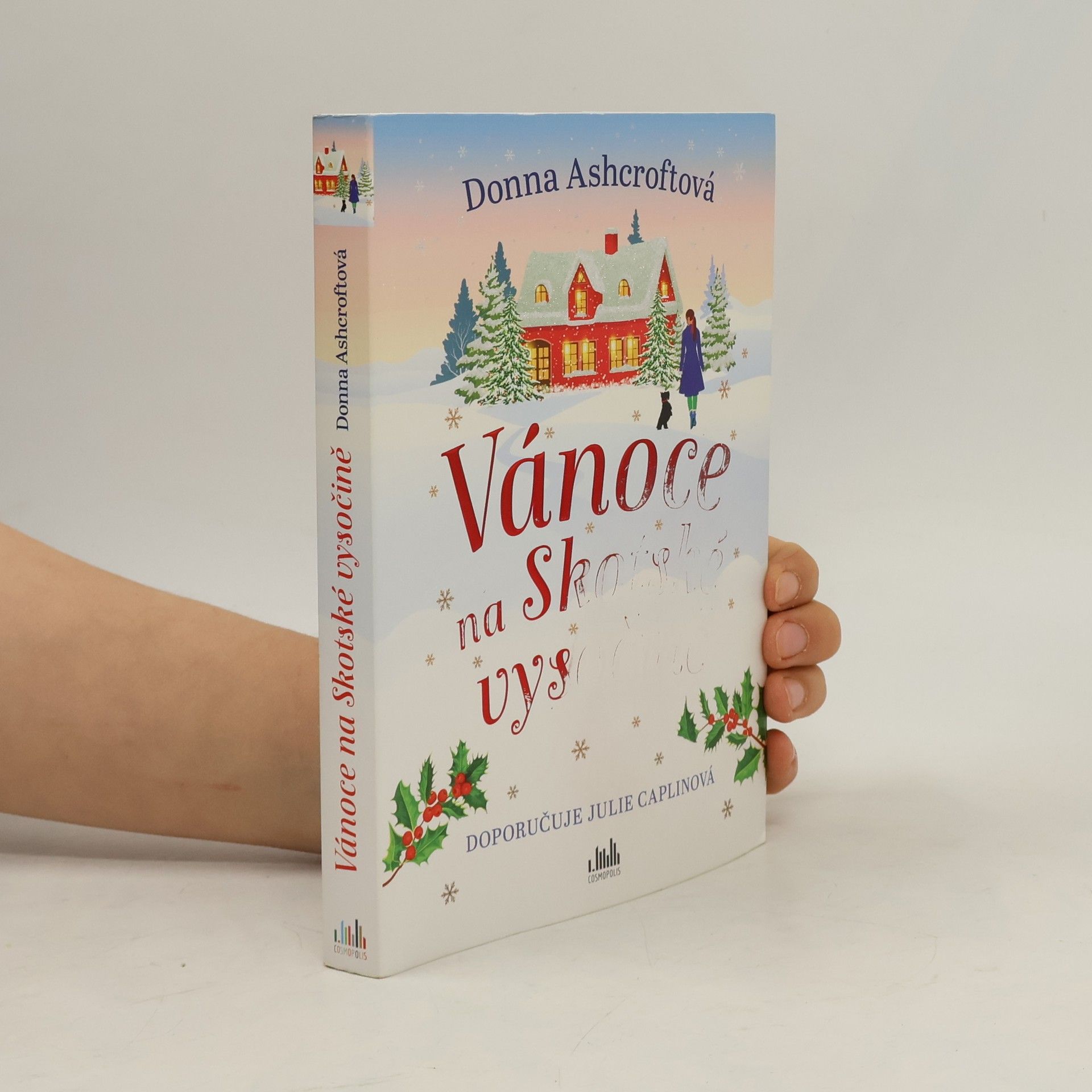 Donna Ashcroft Vánoce na Skotské vysočině
