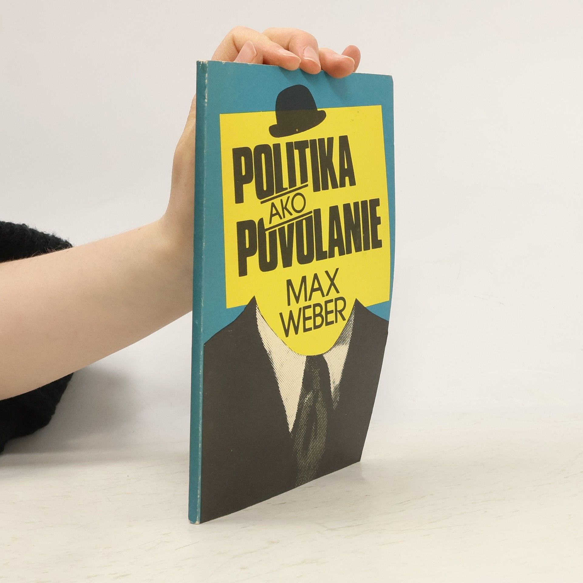 Politika ako povolanie