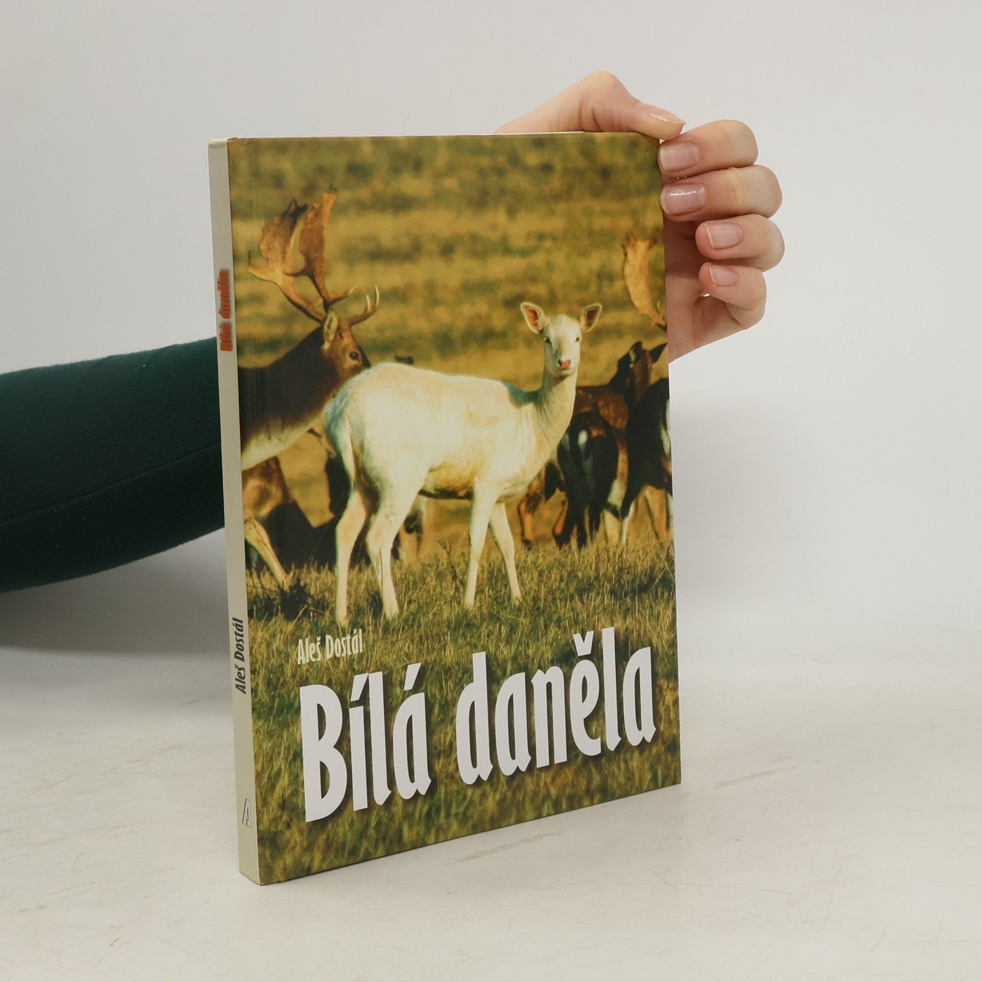 Aleš Dostál Bílá daněla