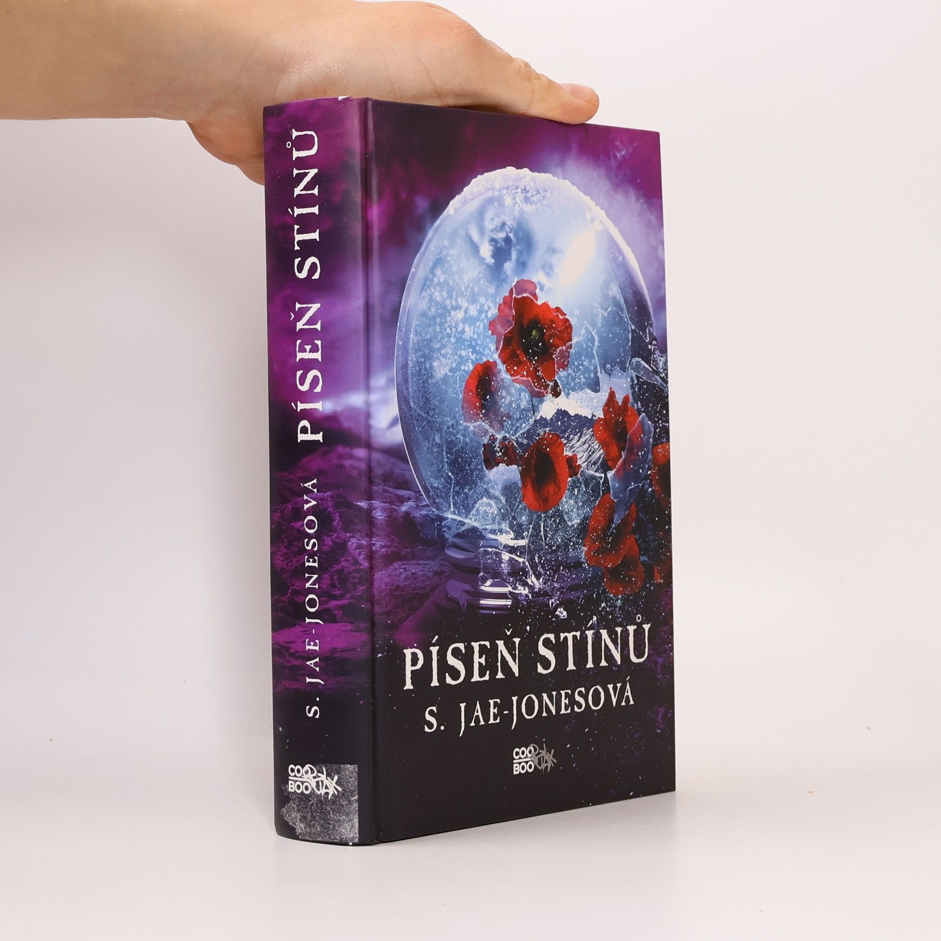 S. Jae-Jones Píseň stínů