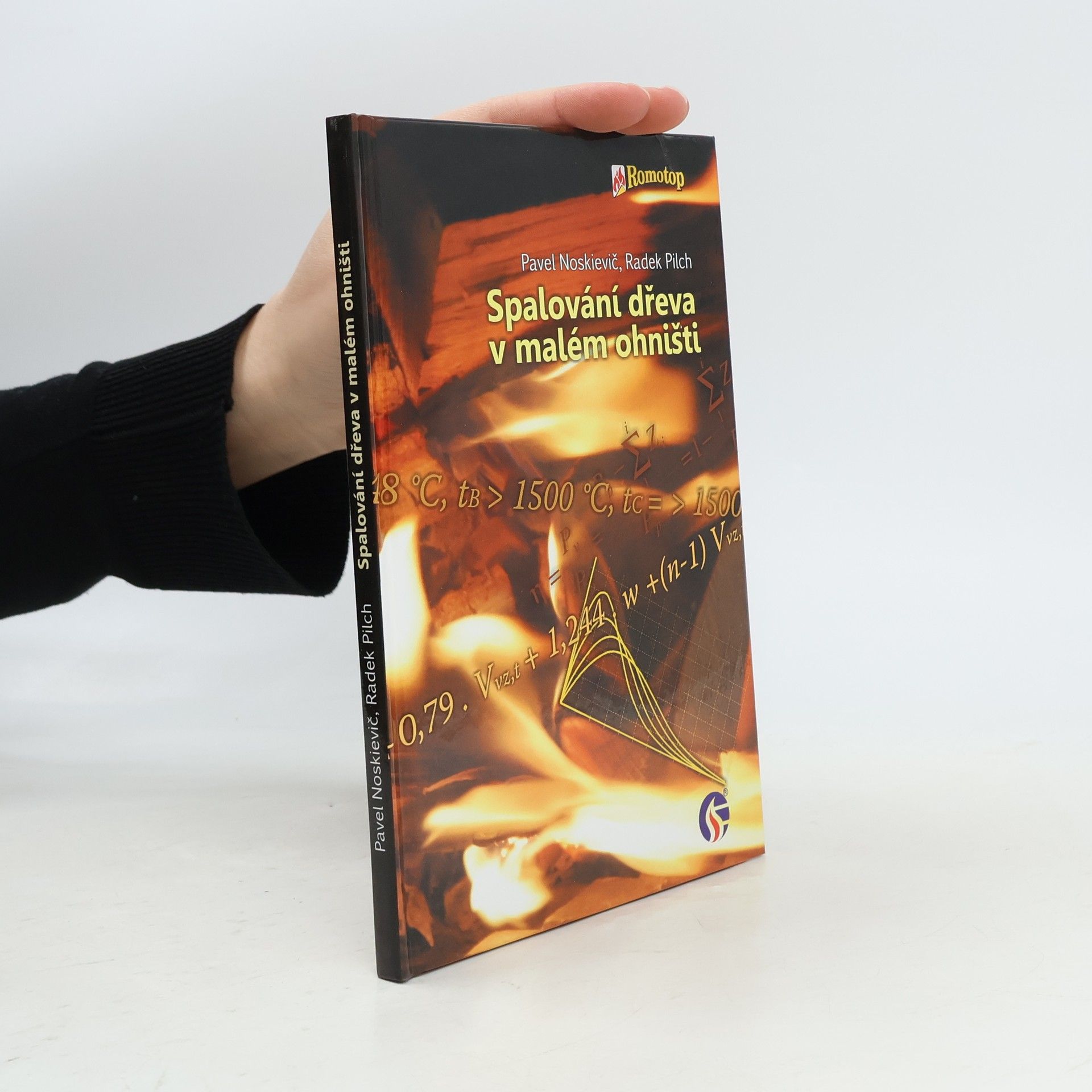 Pavel Noskievič Spalování dřeva v malém ohništi