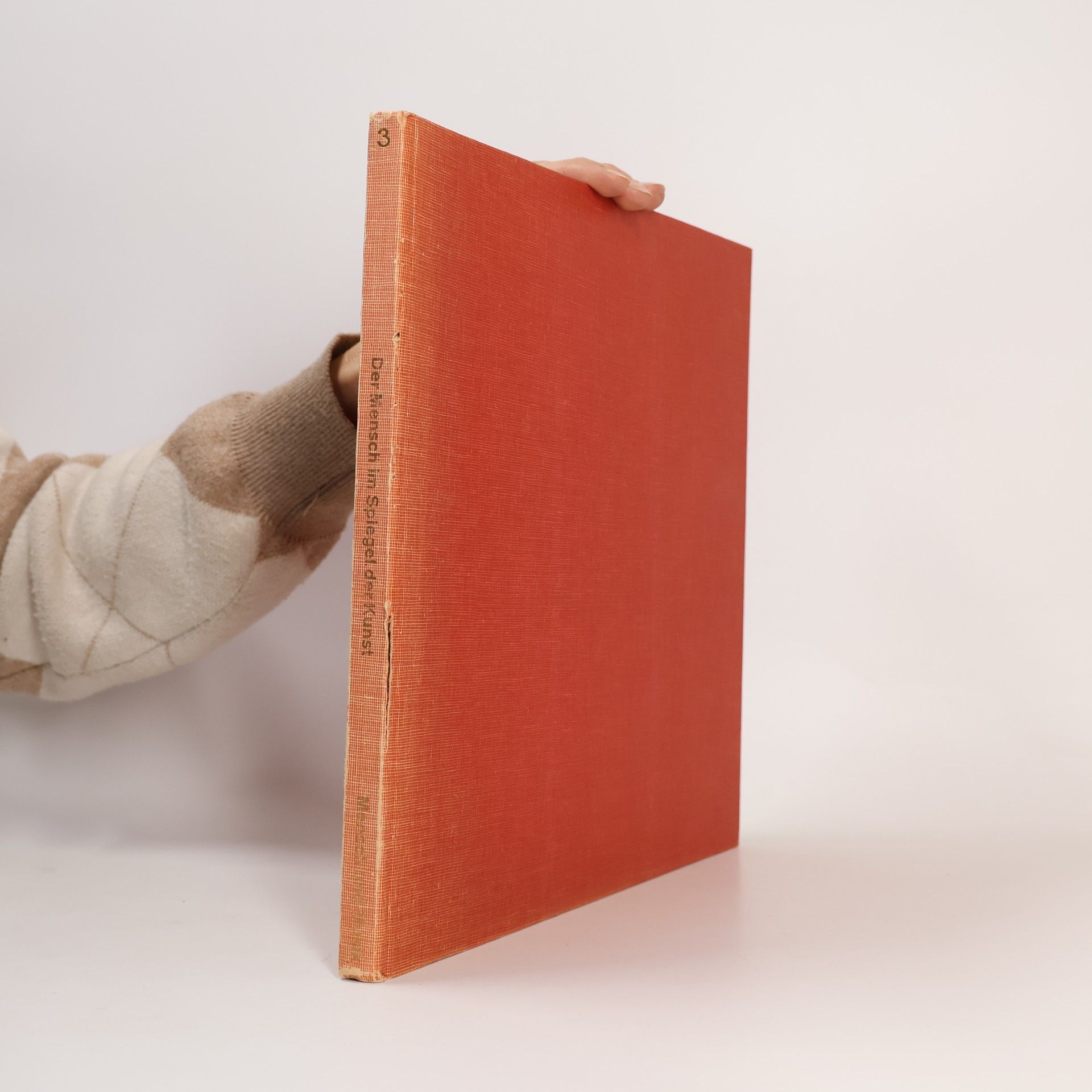 AA.VV. Der Mensch im Spiegel der Kunst