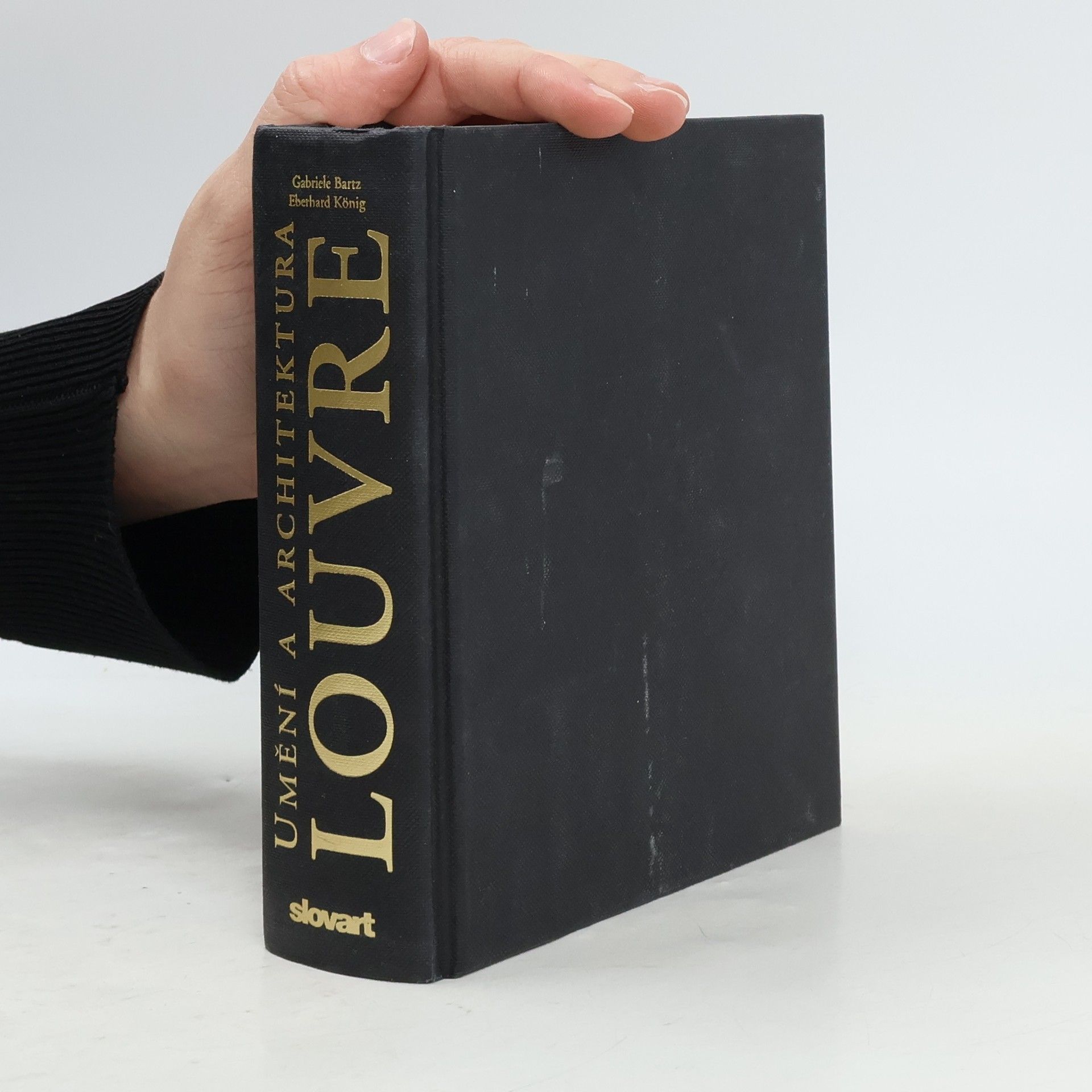 Gabriele Bartz Louvre - Umění a architektura