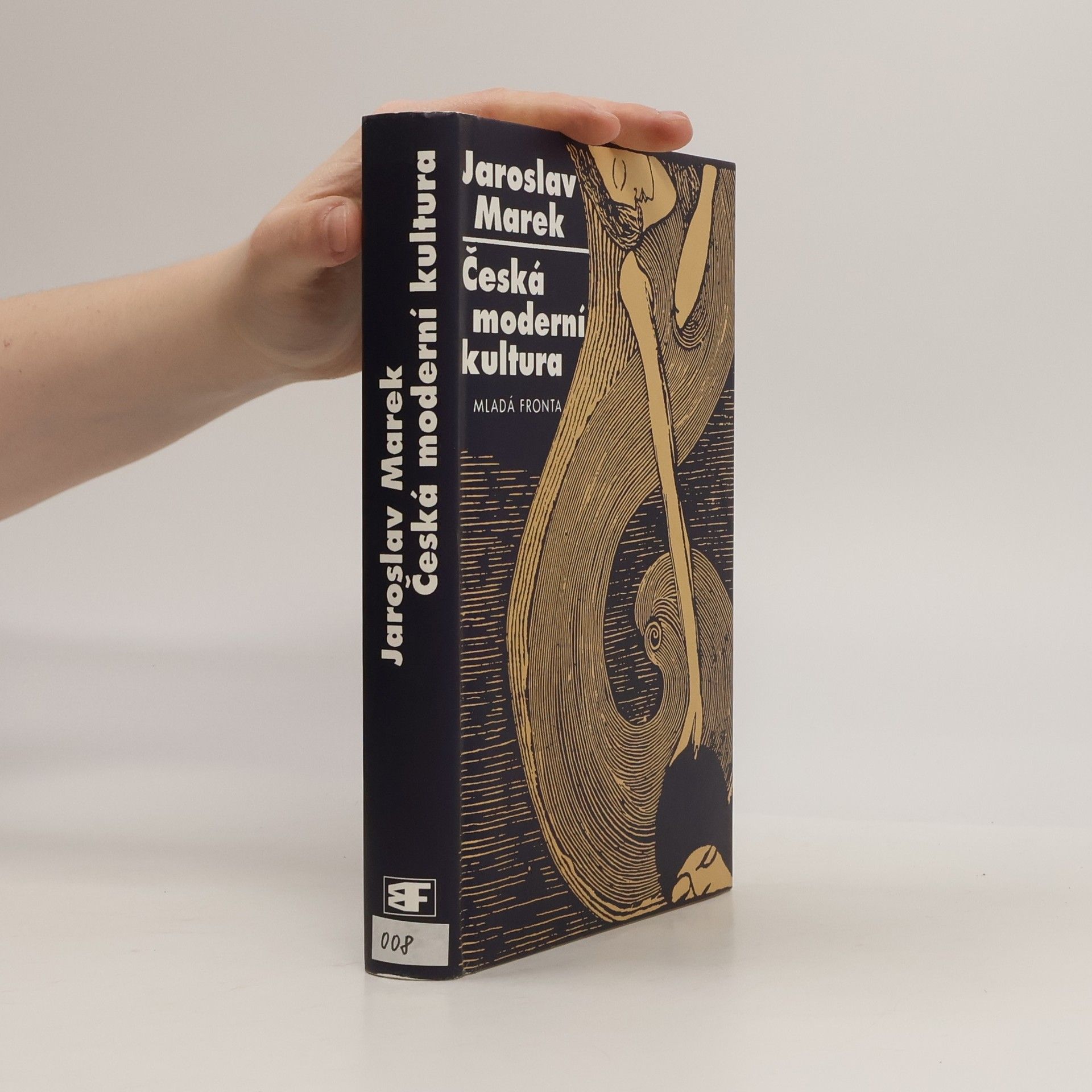 Jaroslav Marek Česká moderní kultura