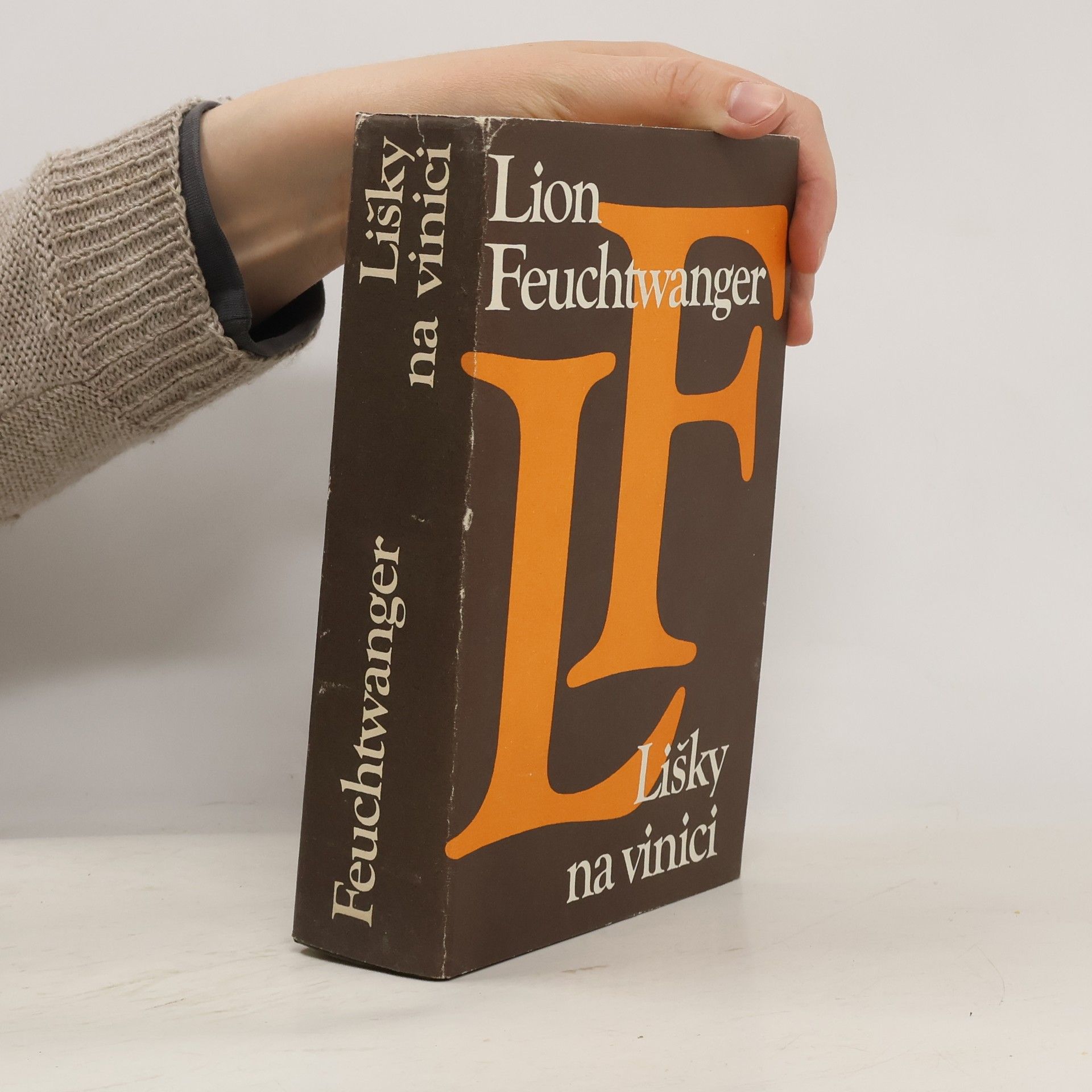 Lion Feuchtwanger Lišky na vinici