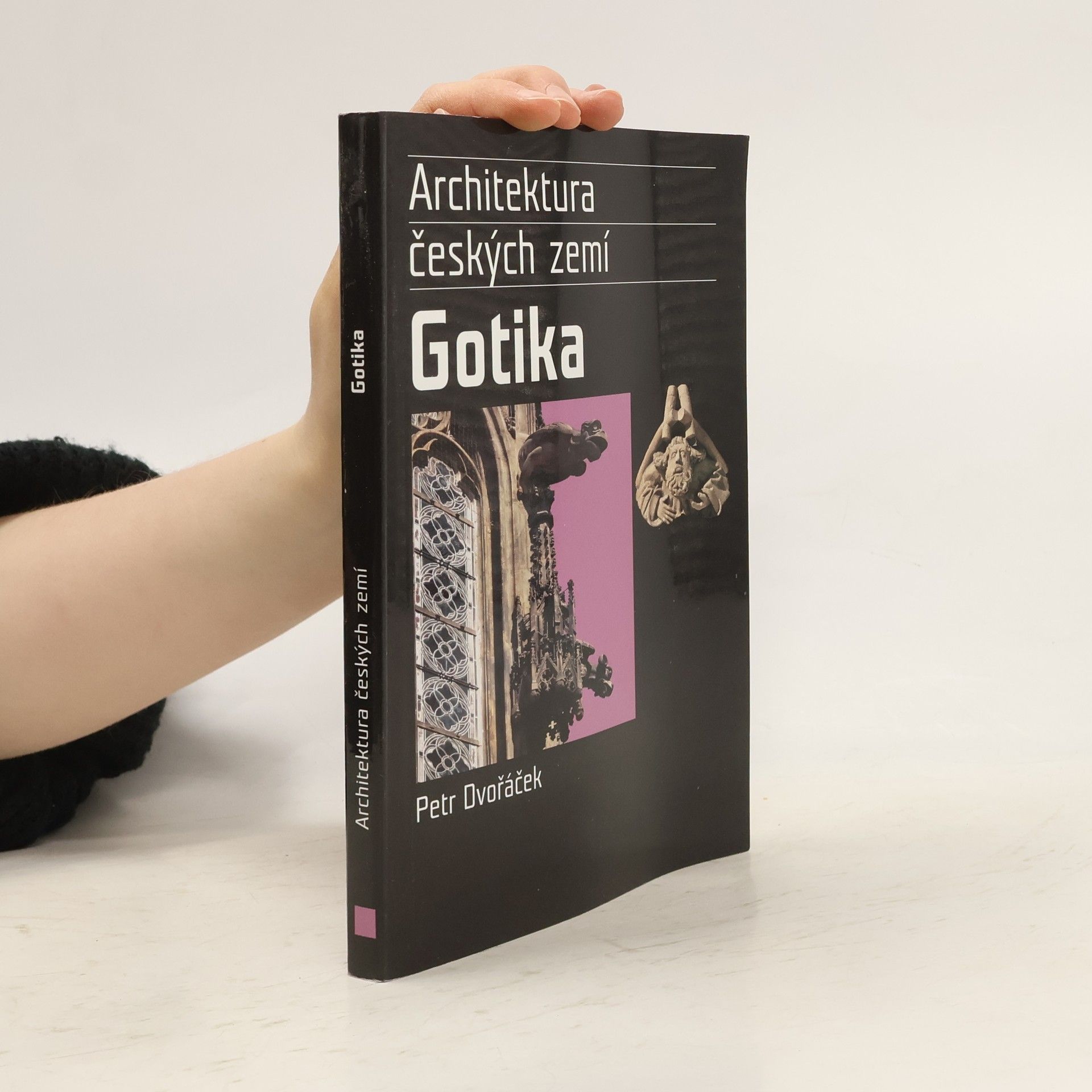 Gotika. Architektura českých zemí