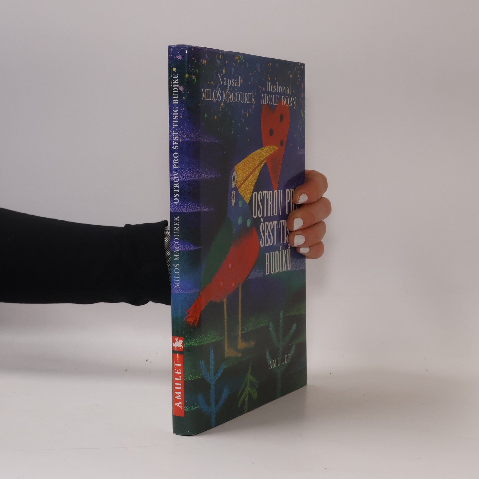 Ostrov pro šest tisíc budíků