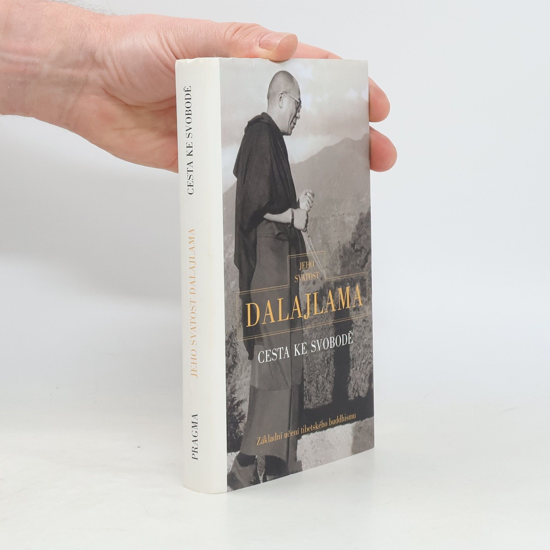 Irena Janovcová Cesta ke svobodě