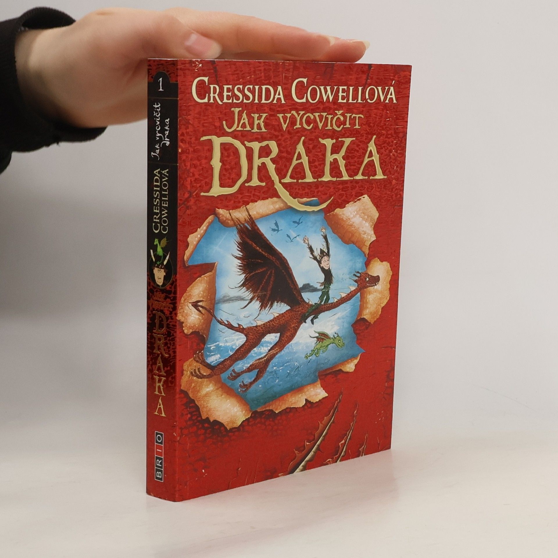 Cressida Cowell Jak vycvičit draka