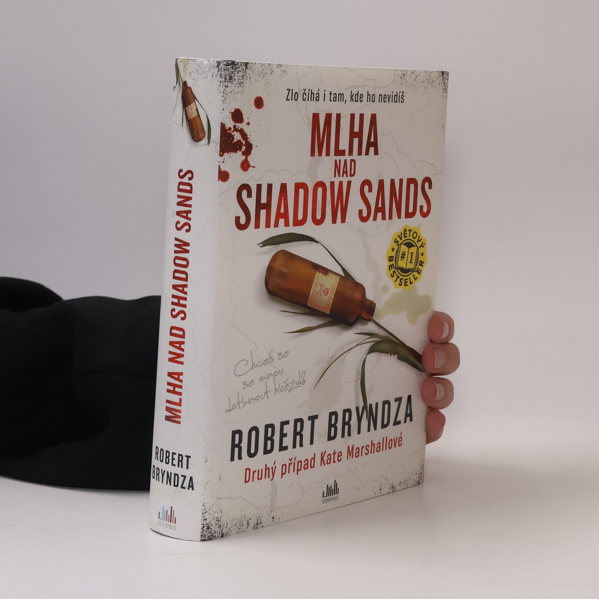 Robert Bryndza Mlha nad Shadow Sands
