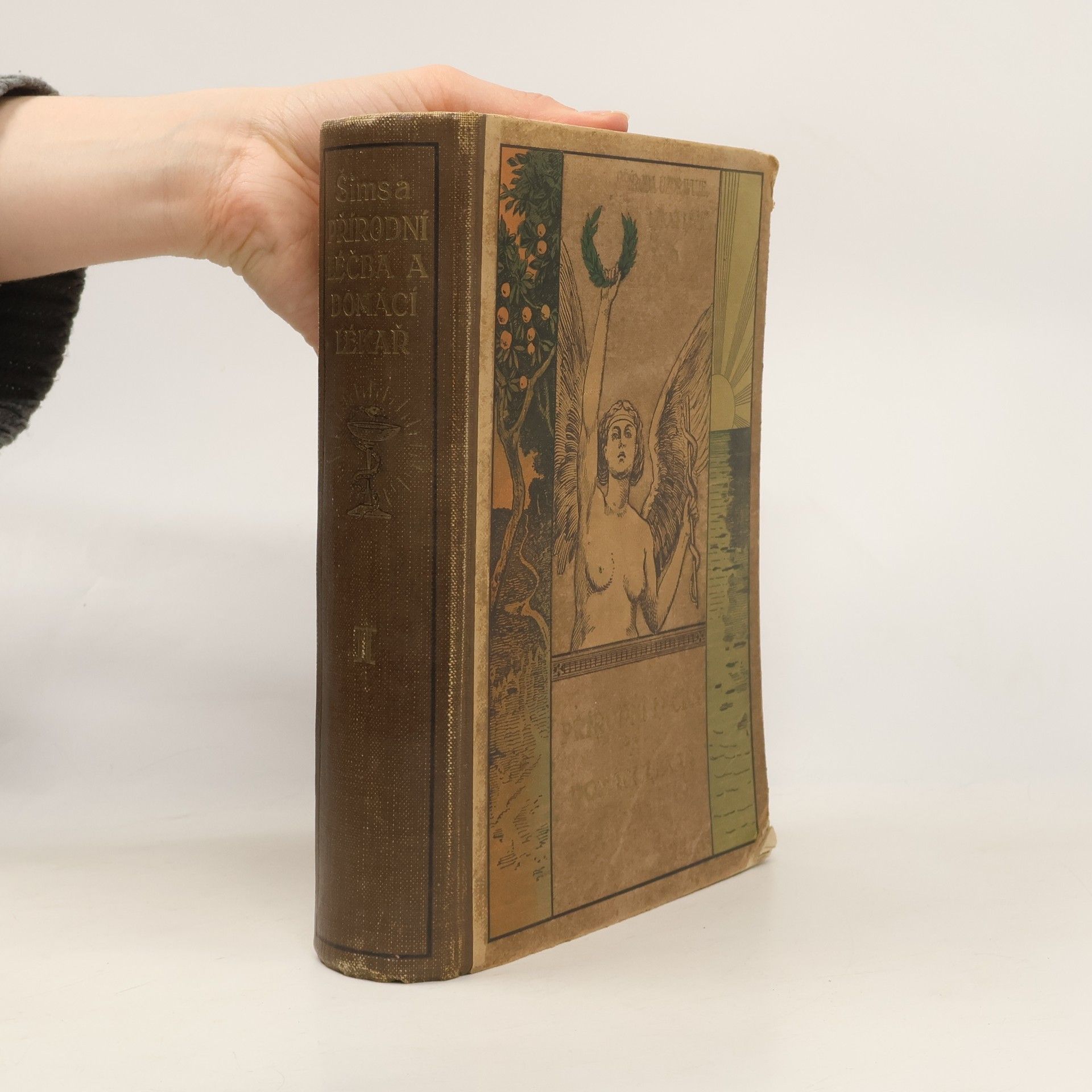 Jan Šimsa Přírodní léčba a domácí lékař. Díl II.