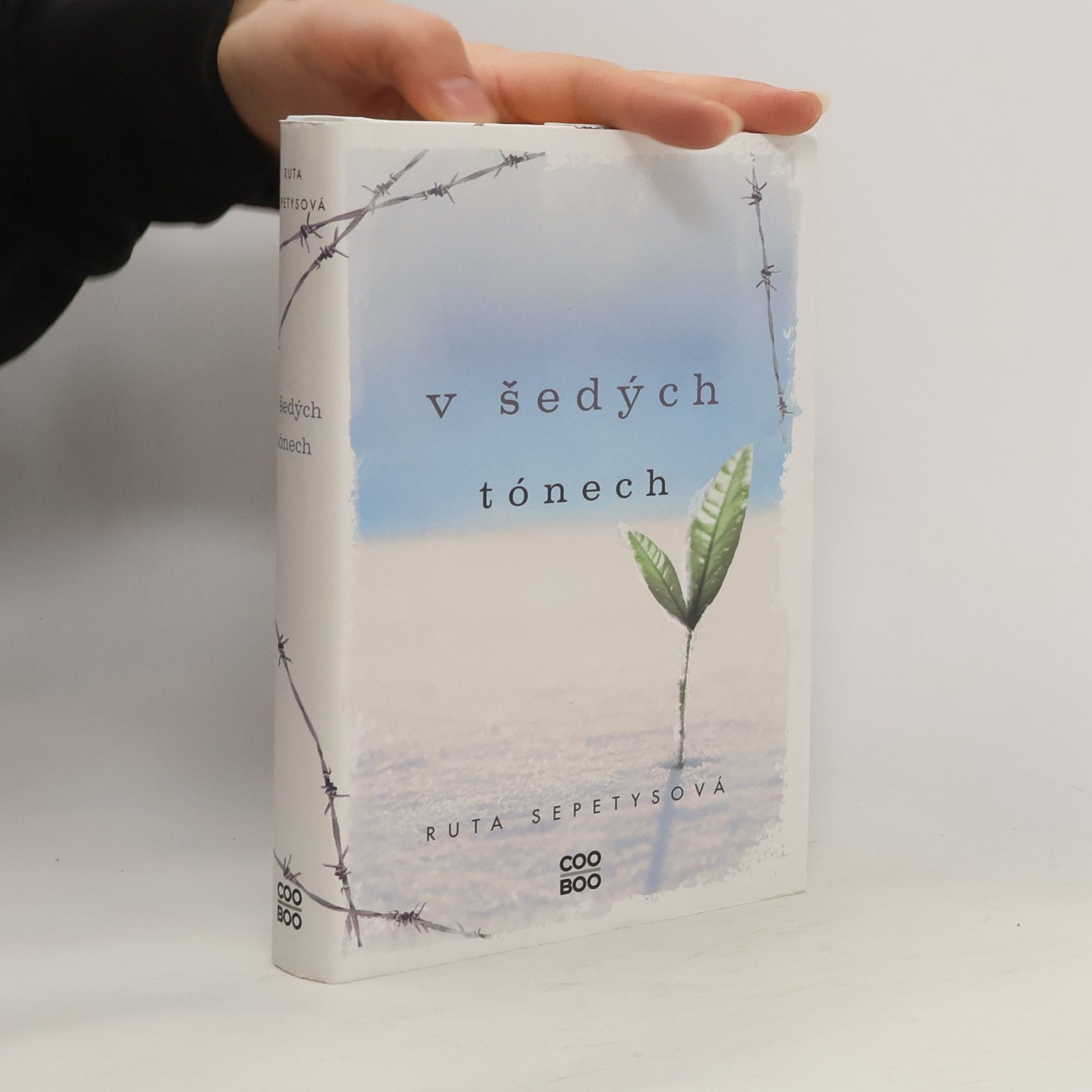 Ruta Sepetys V šedých tónech