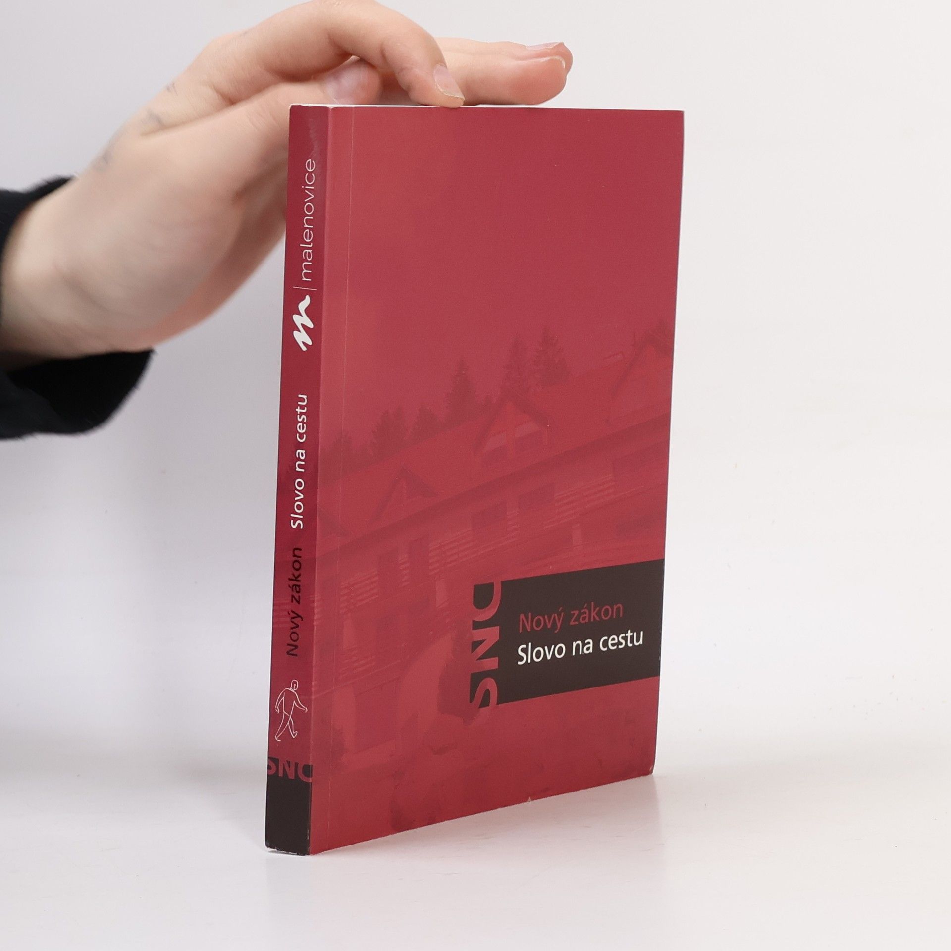 Kolektív autorov Nový zákon: Slovo na cestu