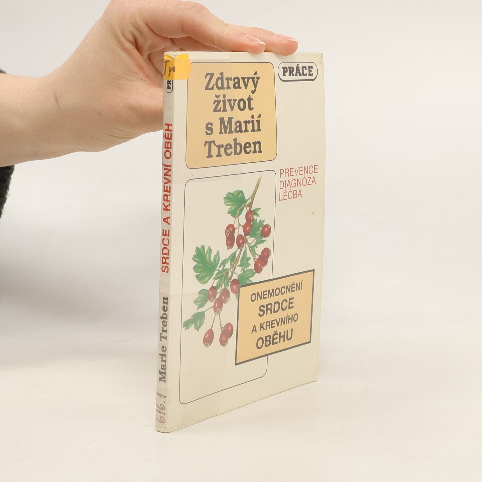 Maria Treben Onemocnění srdce a krevního oběhu: Prevence, diagnóza, léčba