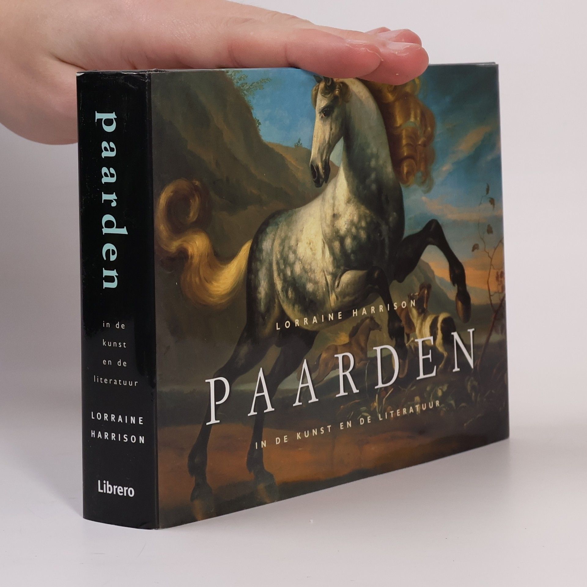 Lorraine Harrison Paarden