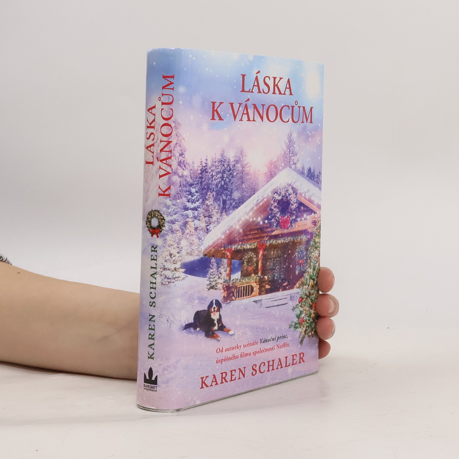 Karen Schaler Láska k Vánocům