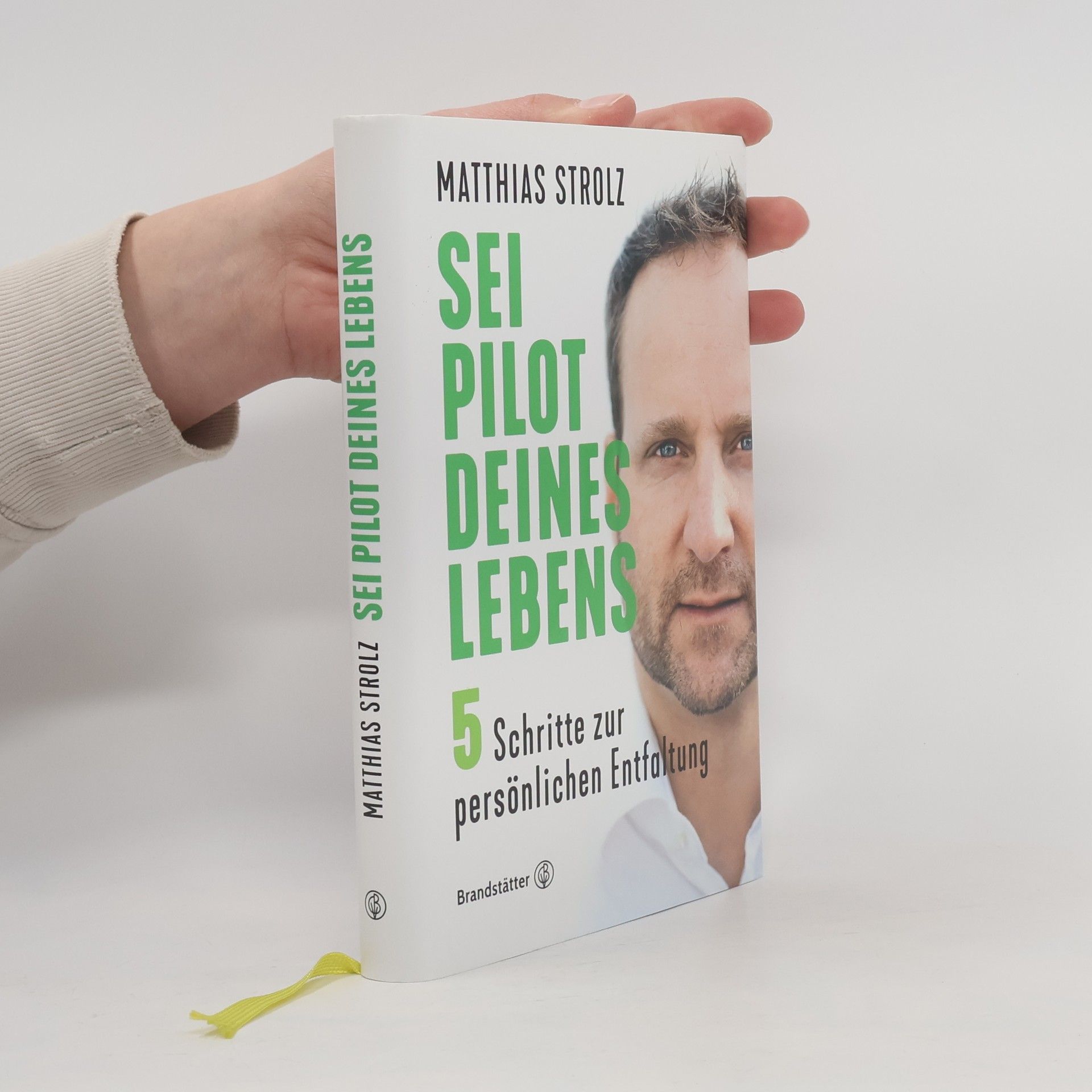 Matthias Strolz Sei Pilot deines Lebens