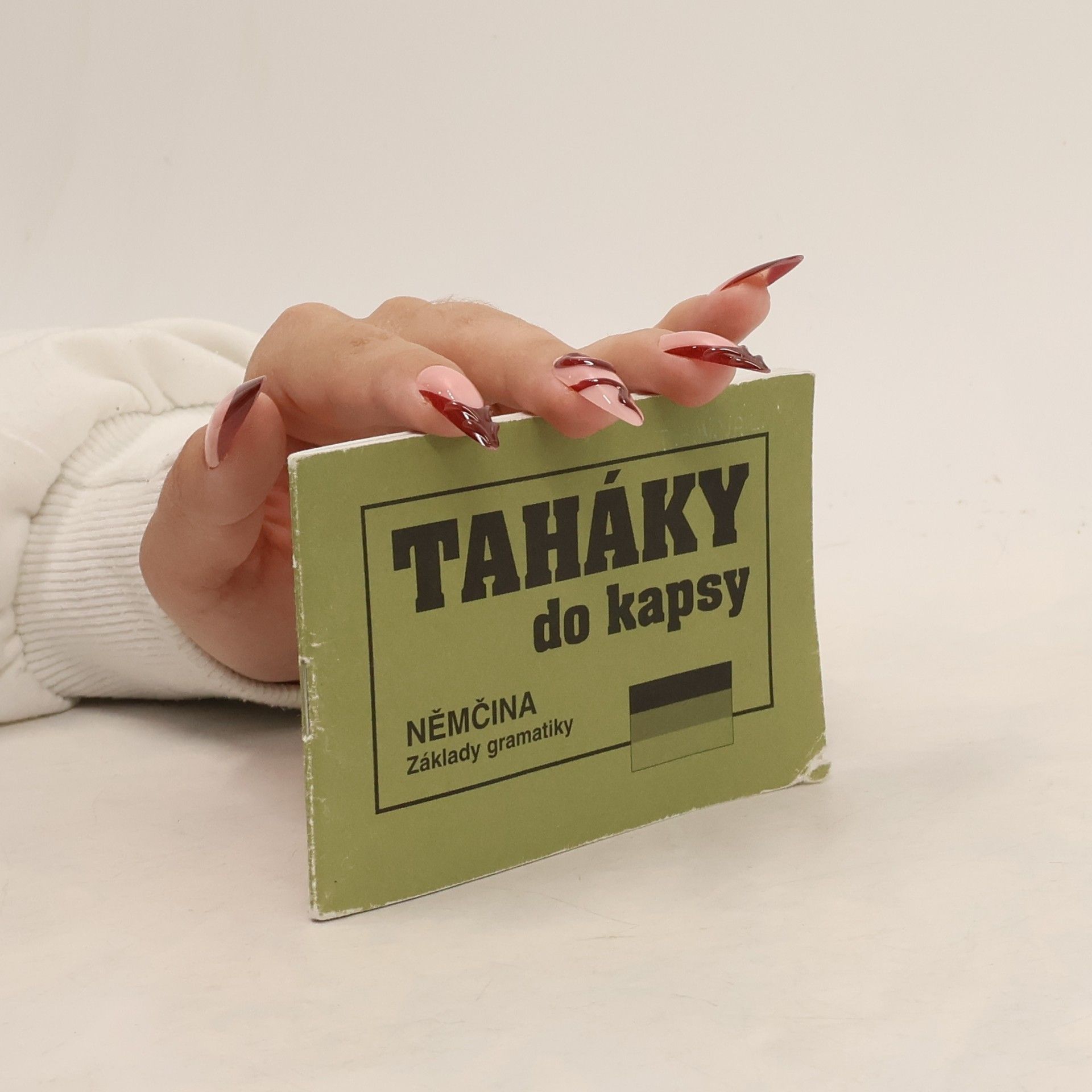 Zdeňka Stellnerová Němčina : základy gramatiky