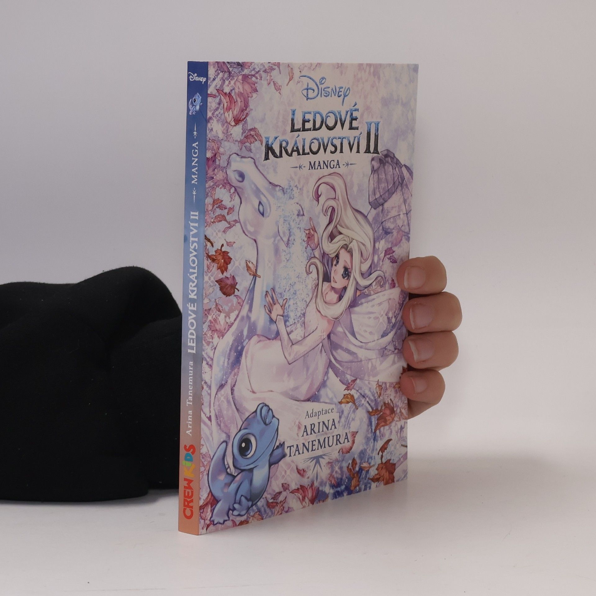 Walt Disney Ledové království 2