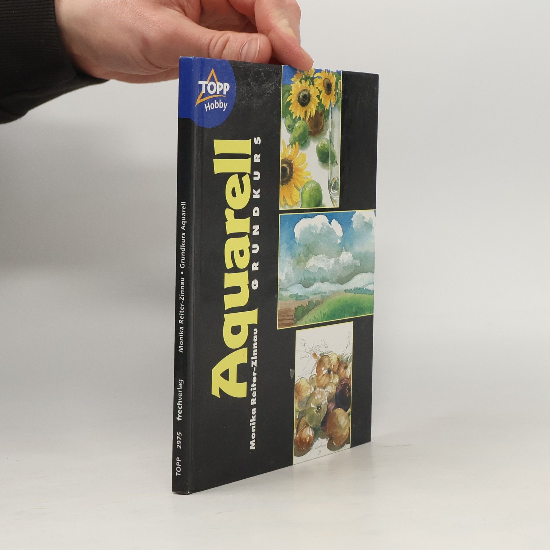 Monika Reiter-Zinnau Grundkurs Aquarellmalerei