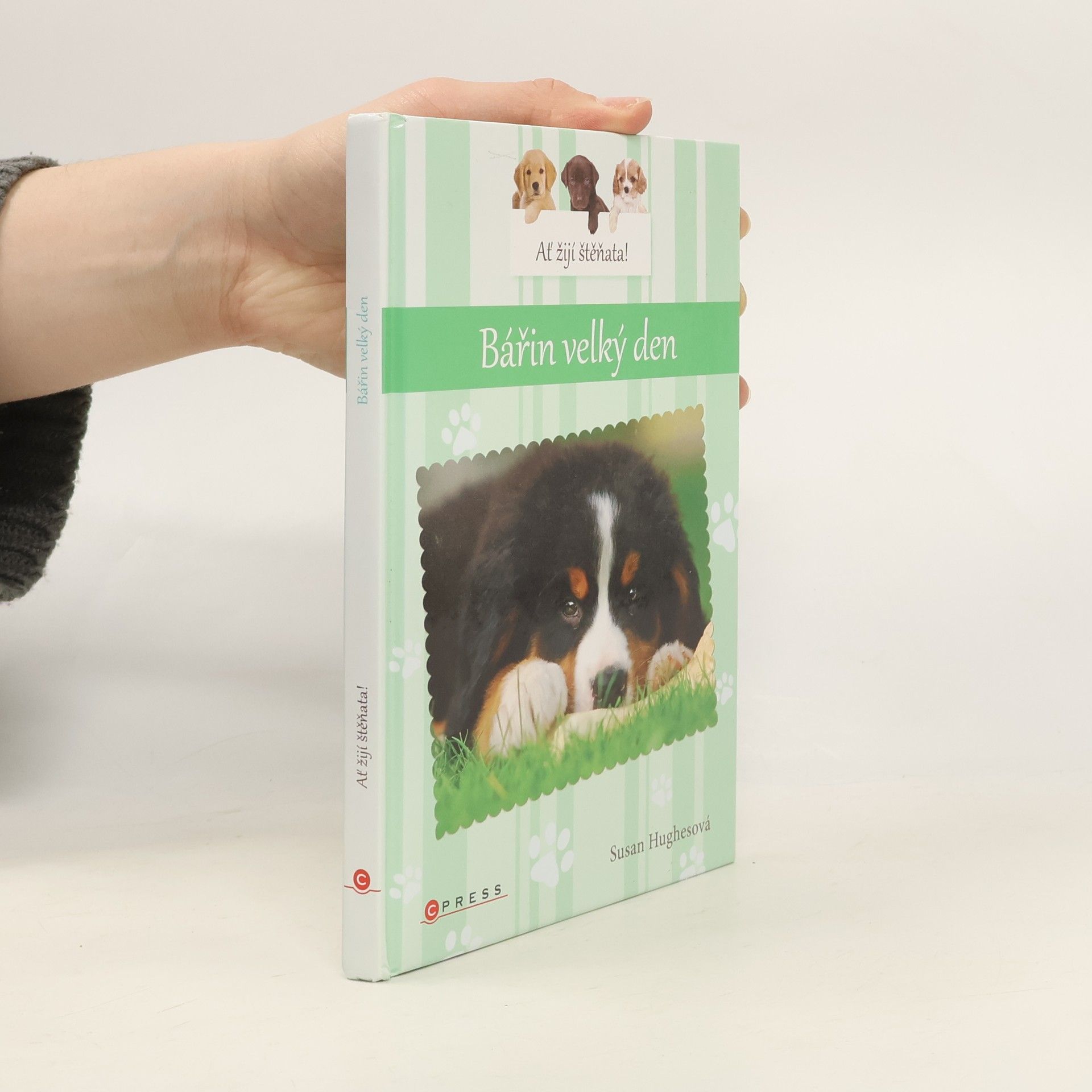 Susan Hughes Bářin velký den