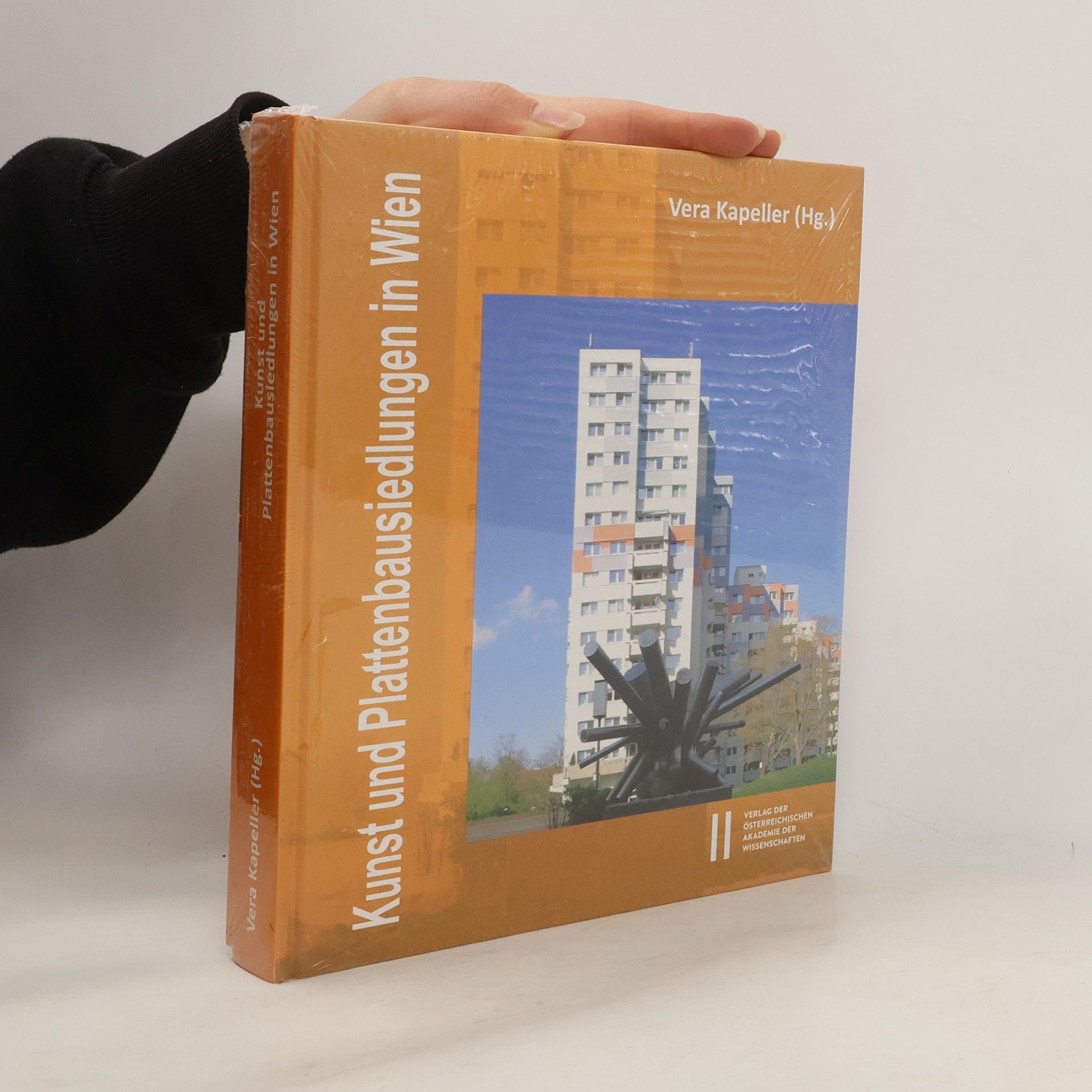 Vera Kapeller Kunst und Plattenbausiedlungen in Wien