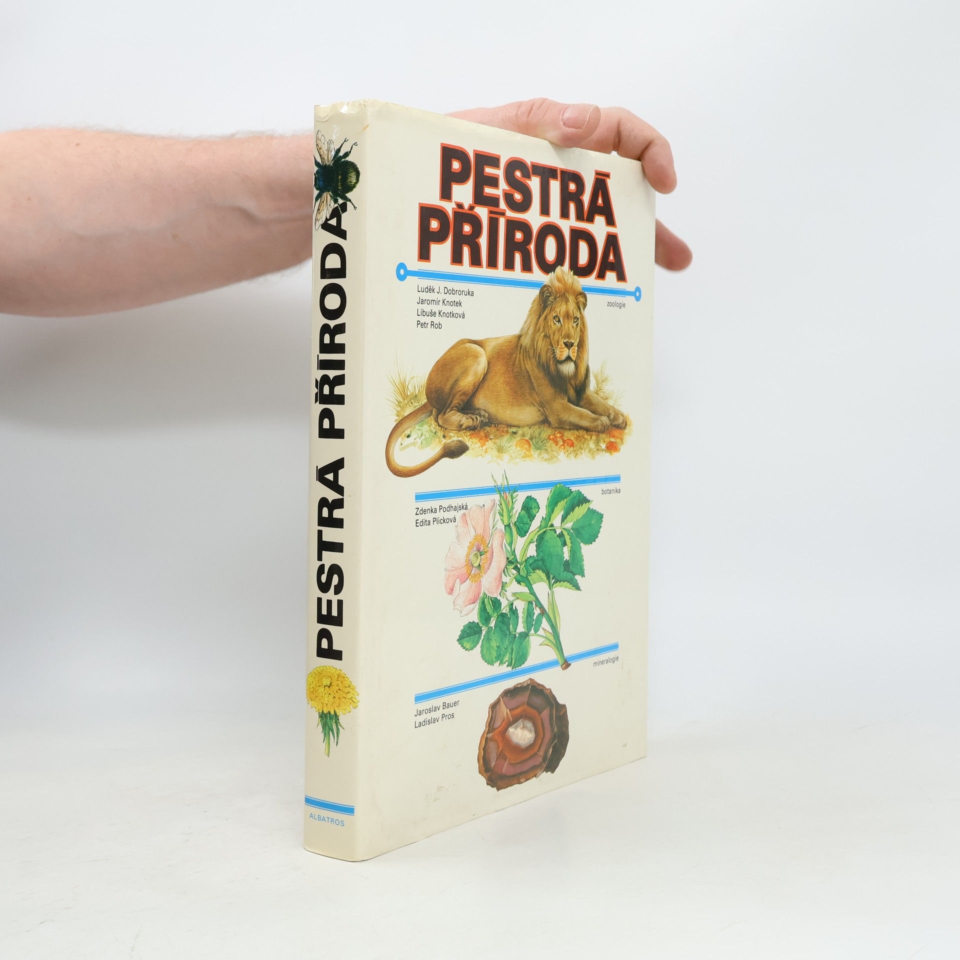 Autorenkollektiv Pestrá příroda