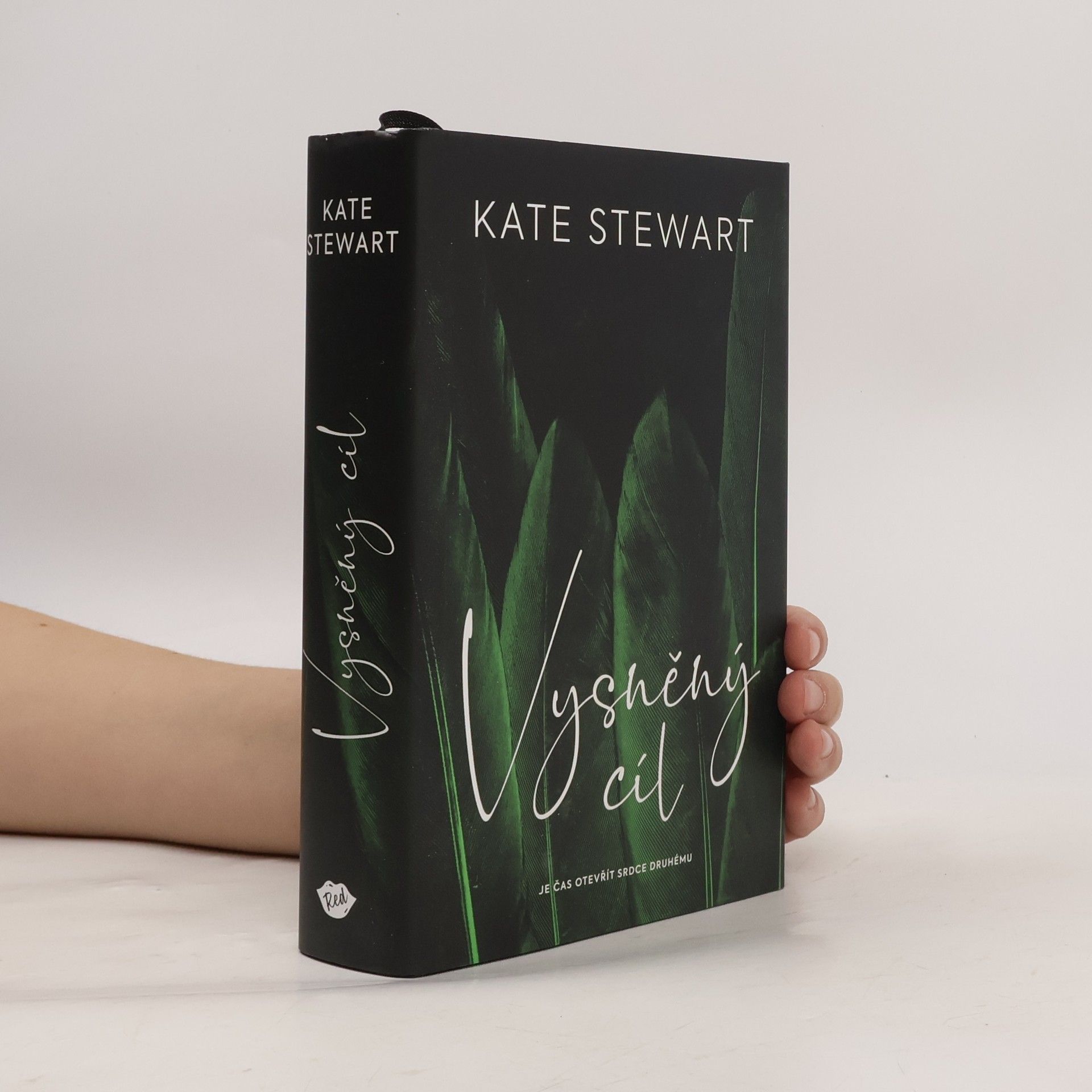 Kate Stewart Vysněný cíl. Kniha třetí