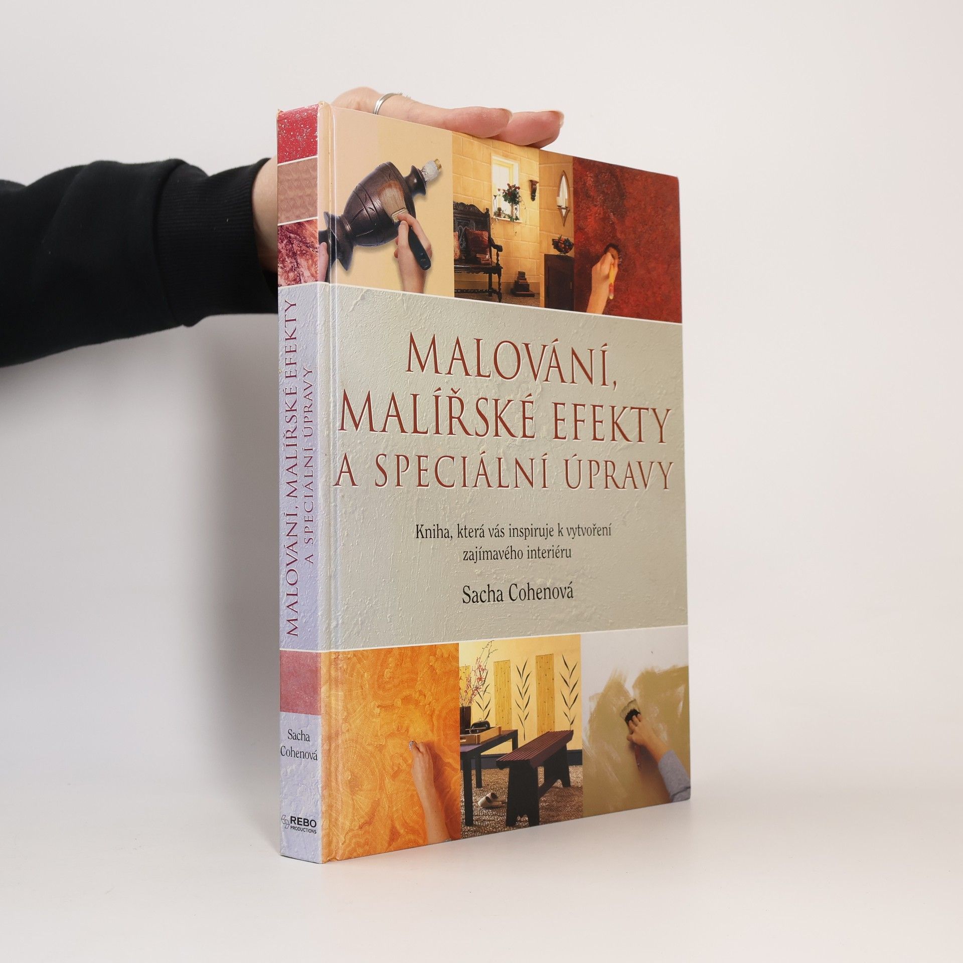 Sacha Cohen Malování, malířské efekty a speciální úpravy. Kniha, která vás inspiruje k vytvoření zajímavého interiéru
