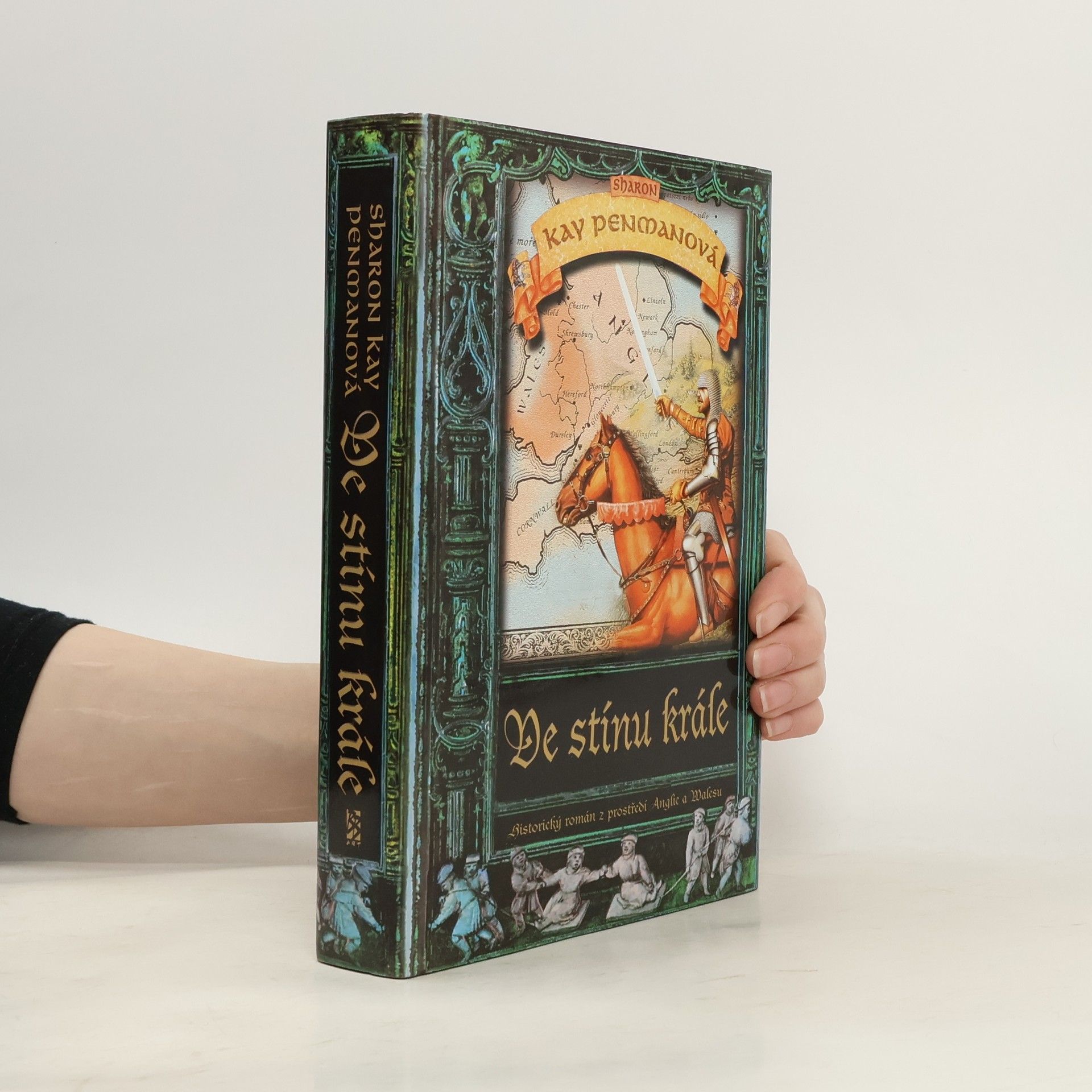 Sharon Kay Penman Ve stínu krále