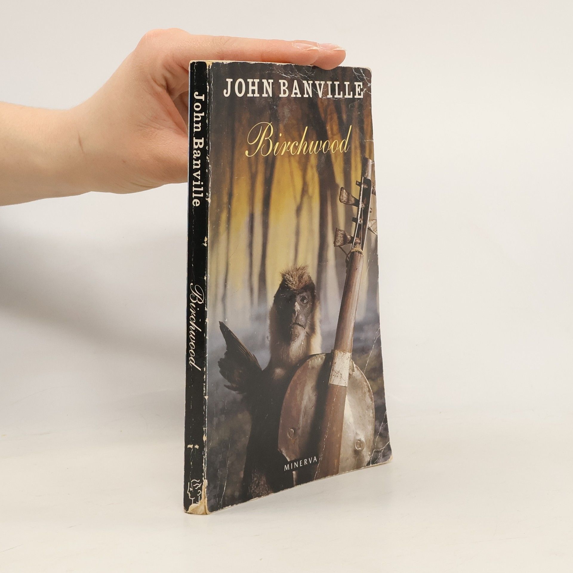 John Banville Birchwood