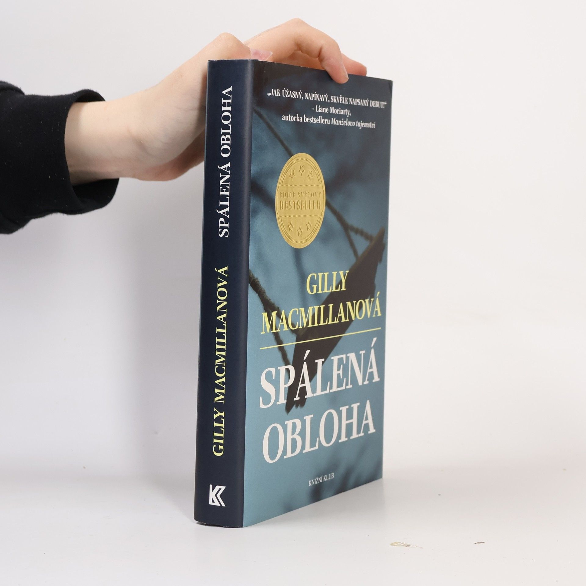 Gilly Macmillan Spálená obloha