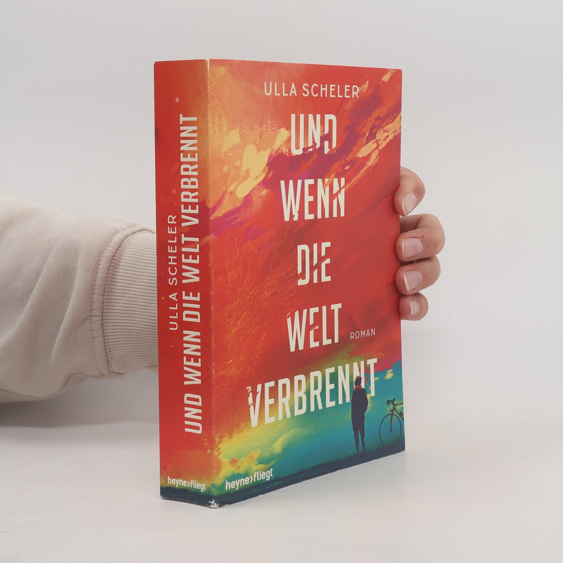 Ulla Scheler Und wenn die Welt verbrennt