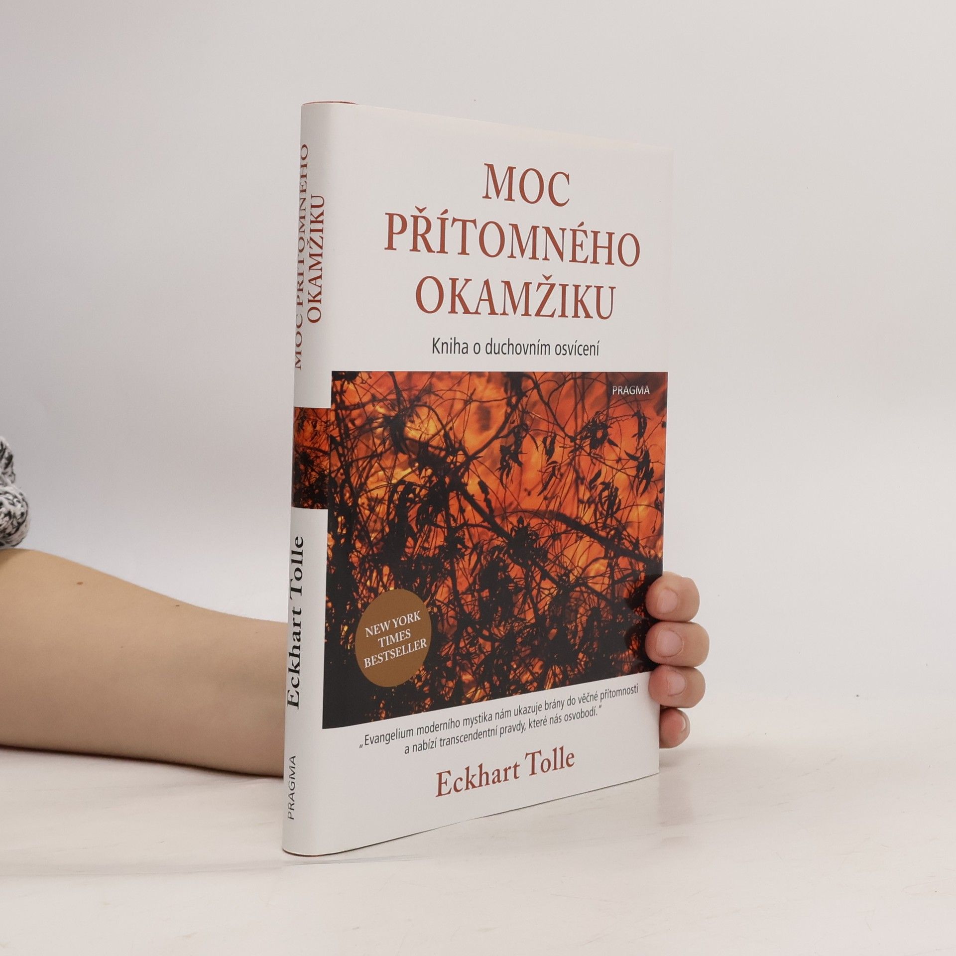 Eckhart Tolle Moc přítomného okamžiku