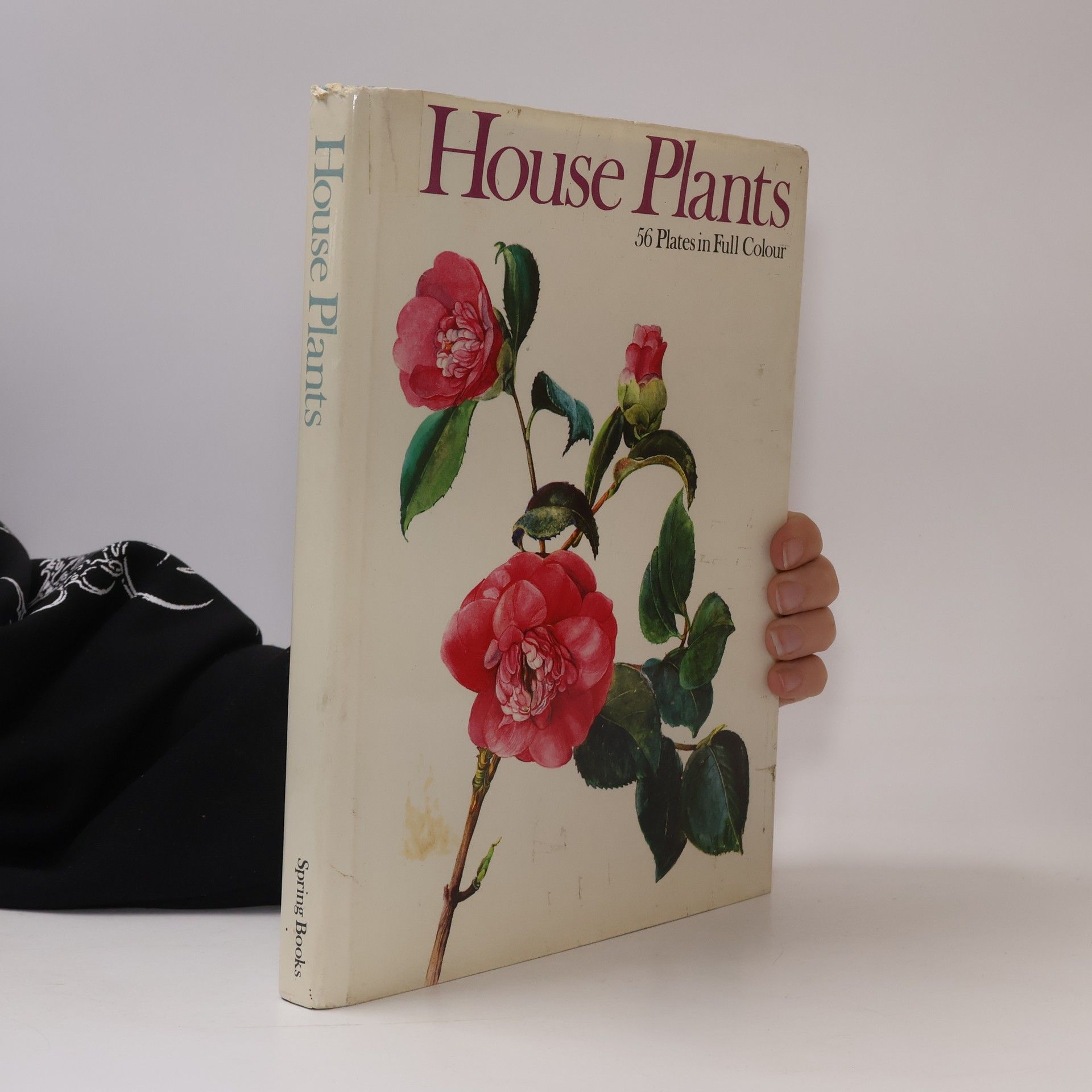 Autorenkollektiv House Plants