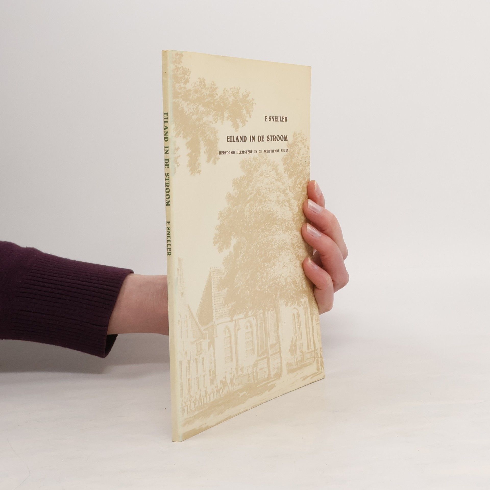 Egbert Sneller Eiland in de stroom