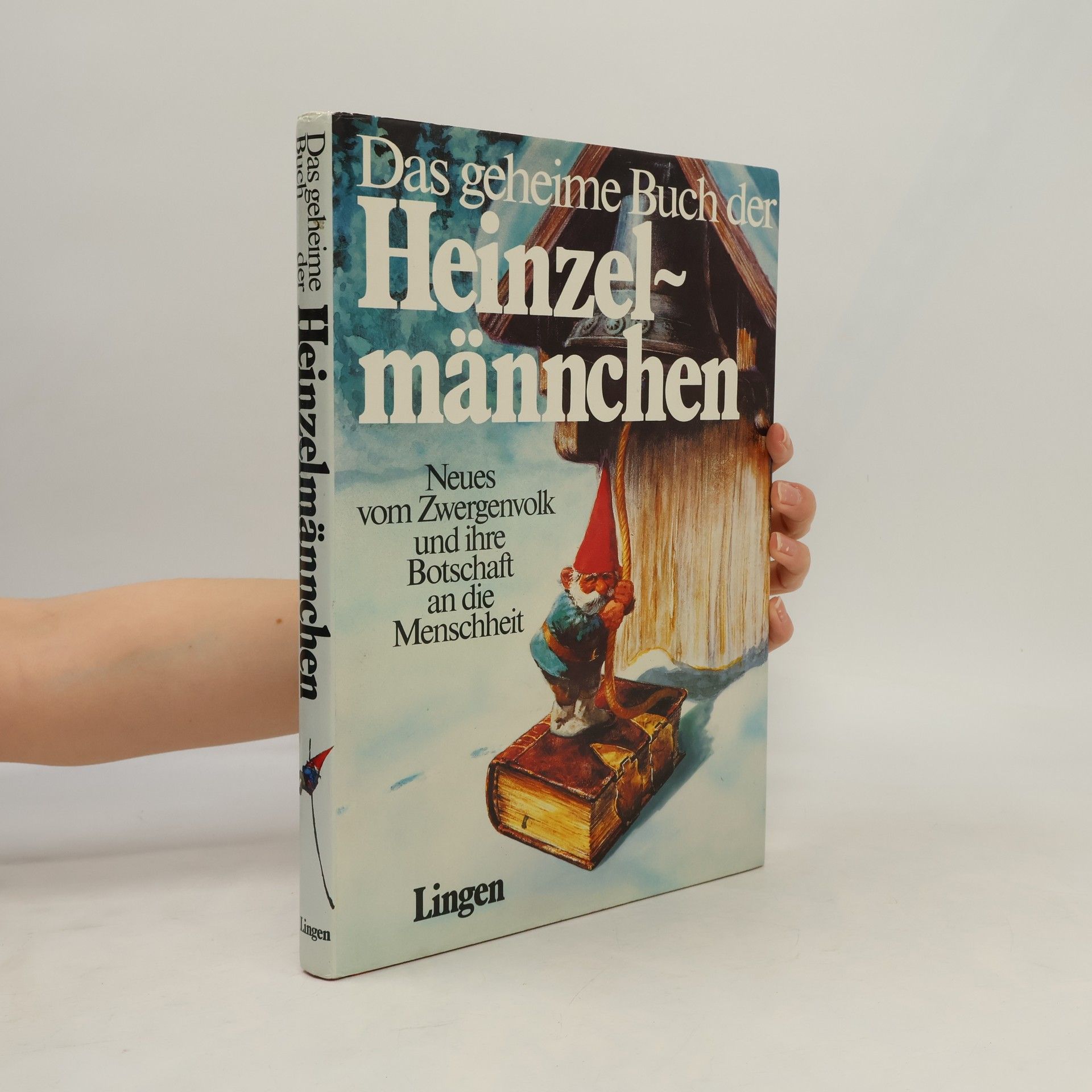 Autorenkollektiv Das geheime Buch der Heinzelmännchen