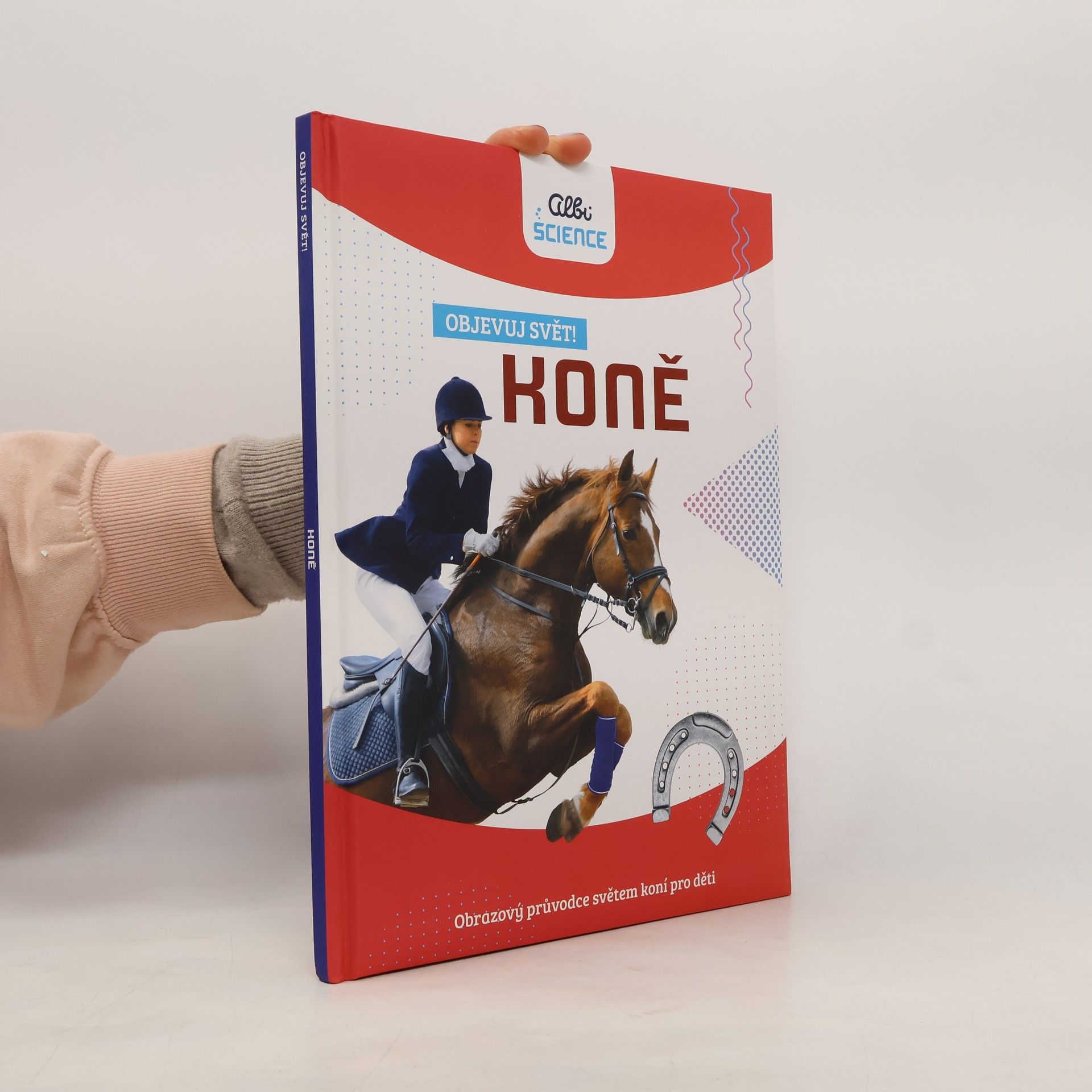 Kateřina Brouk Koně