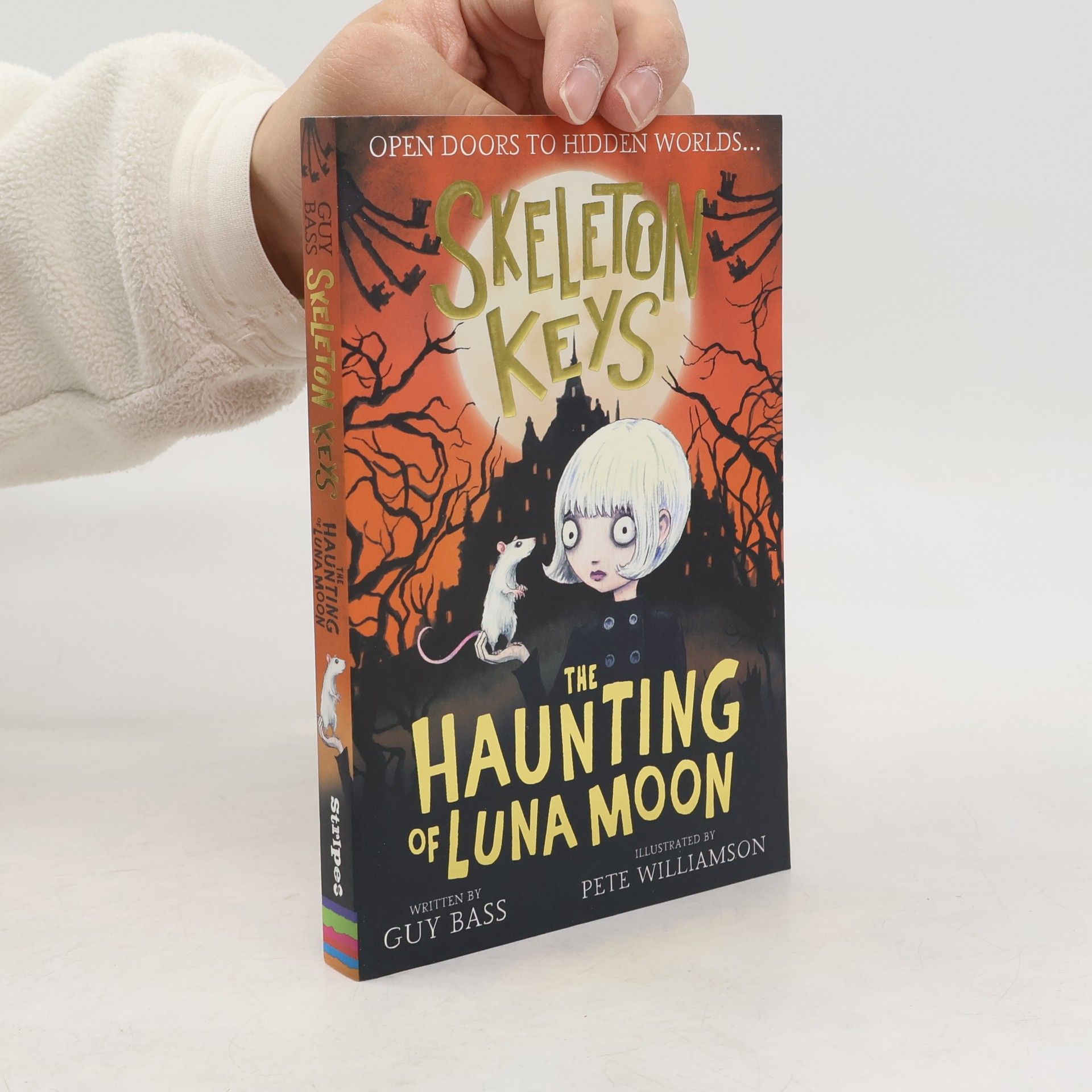 AA.VV. Skeleton Keys: The Haunting of Luna Moon