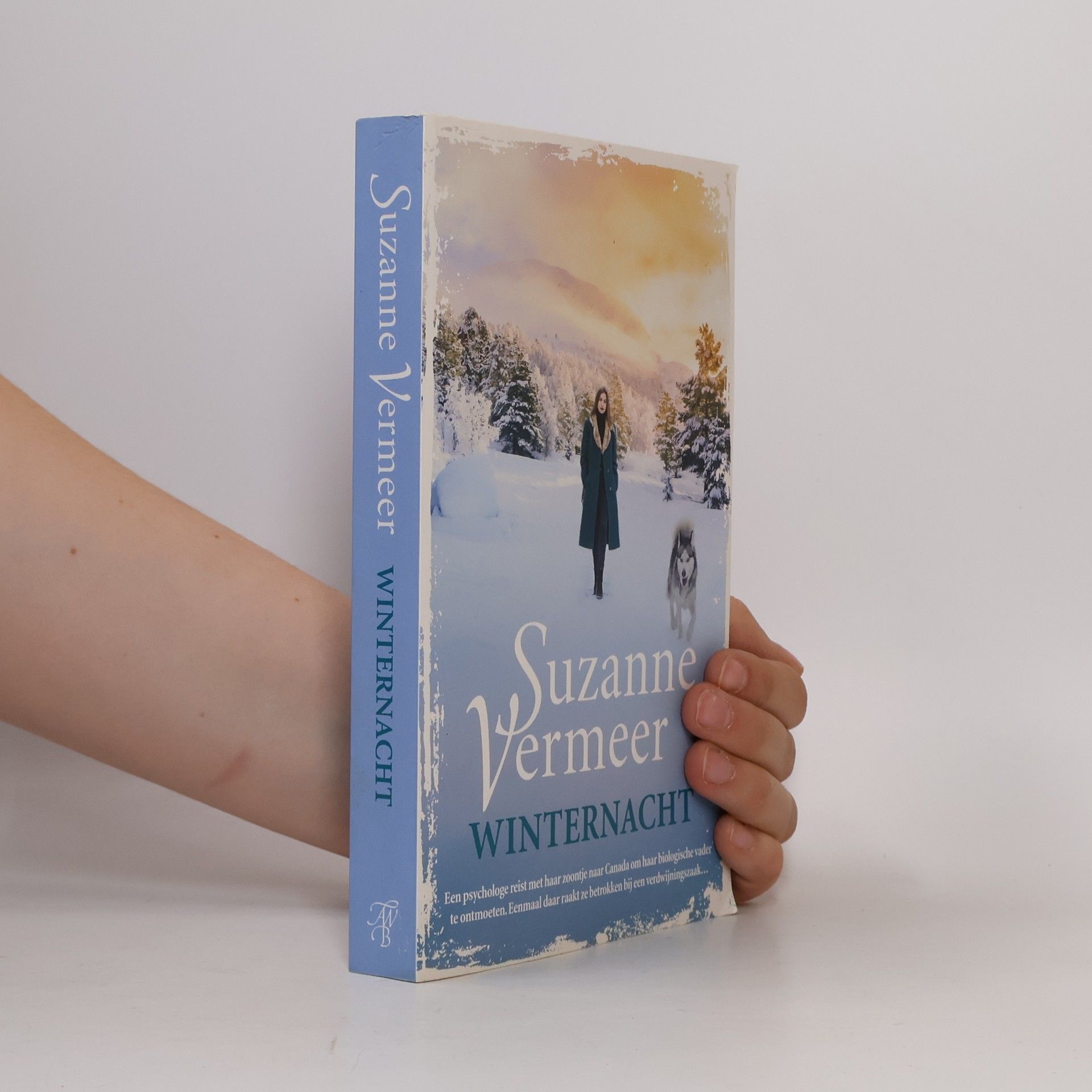 Suzanne Vermeer Winternacht
