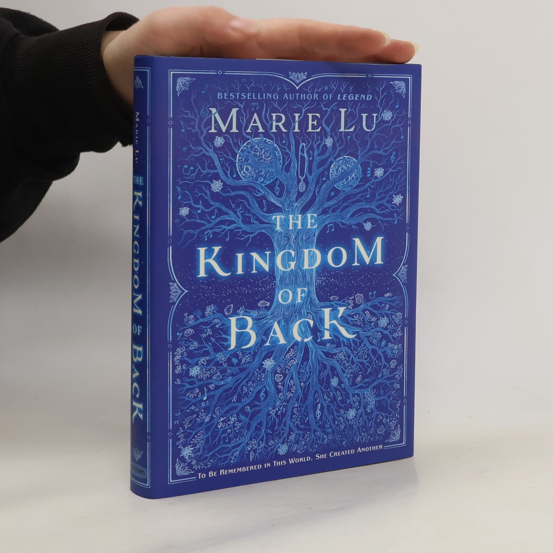 Marie Lu The Kingdom of Back
