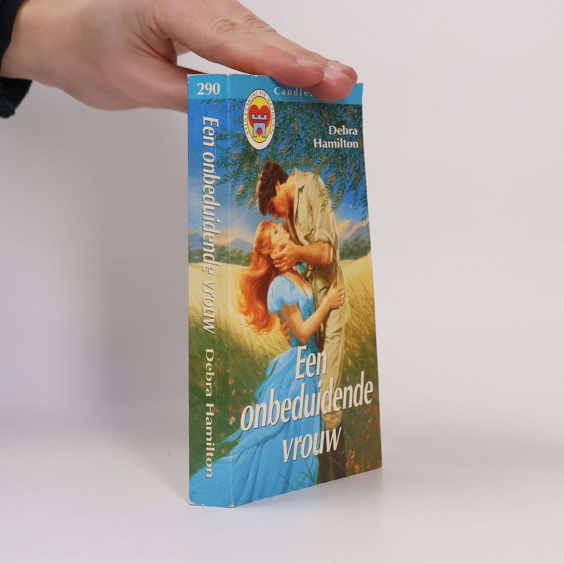 Debra Hamilton Een onbeduidende vrouw