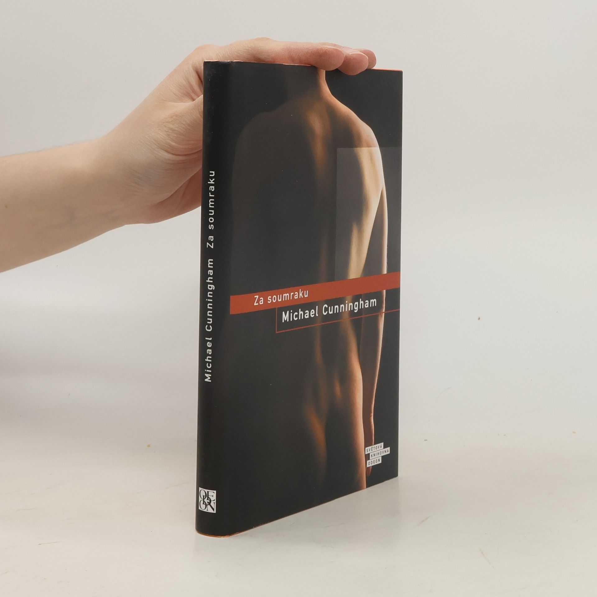 Michael Cunningham Za soumraku